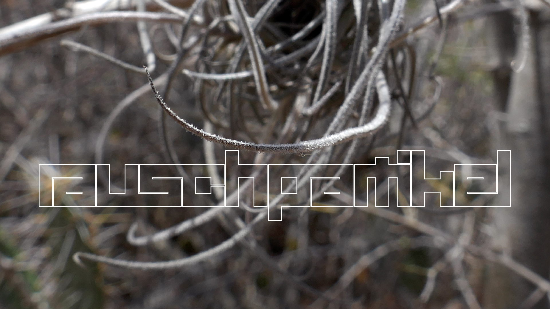 2022-04-22 Blaue Kammer (Foto)