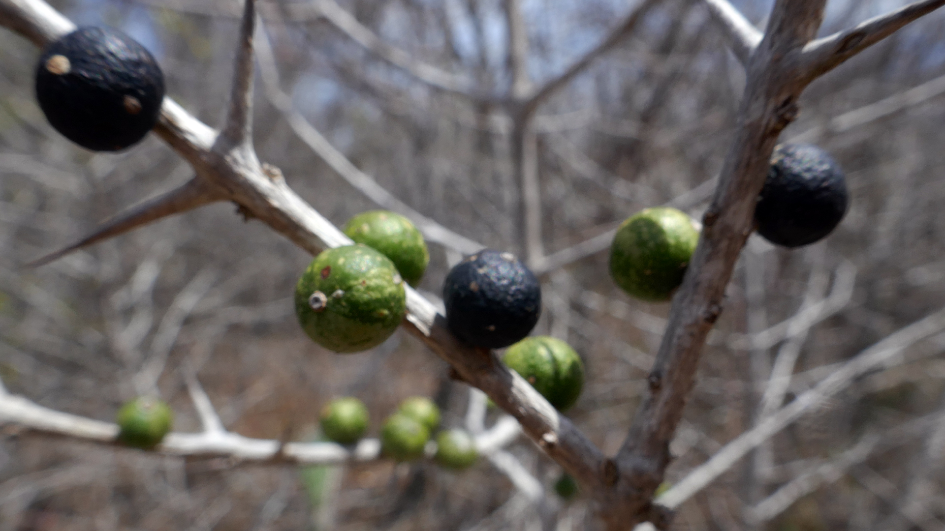 2022-04-22 Blaue Kammer (Foto)