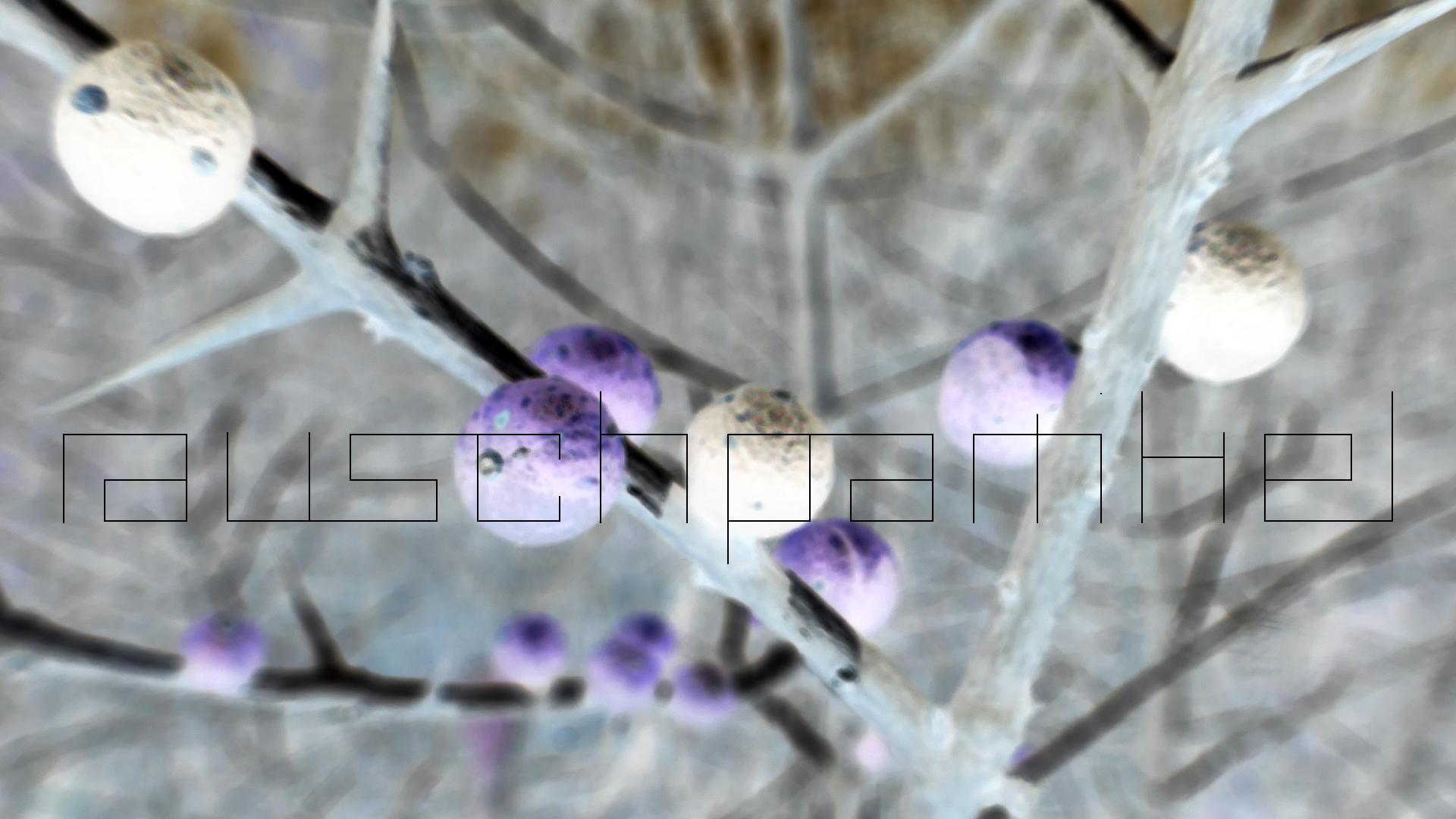 2022-04-22 Blaue Kammer (Foto)