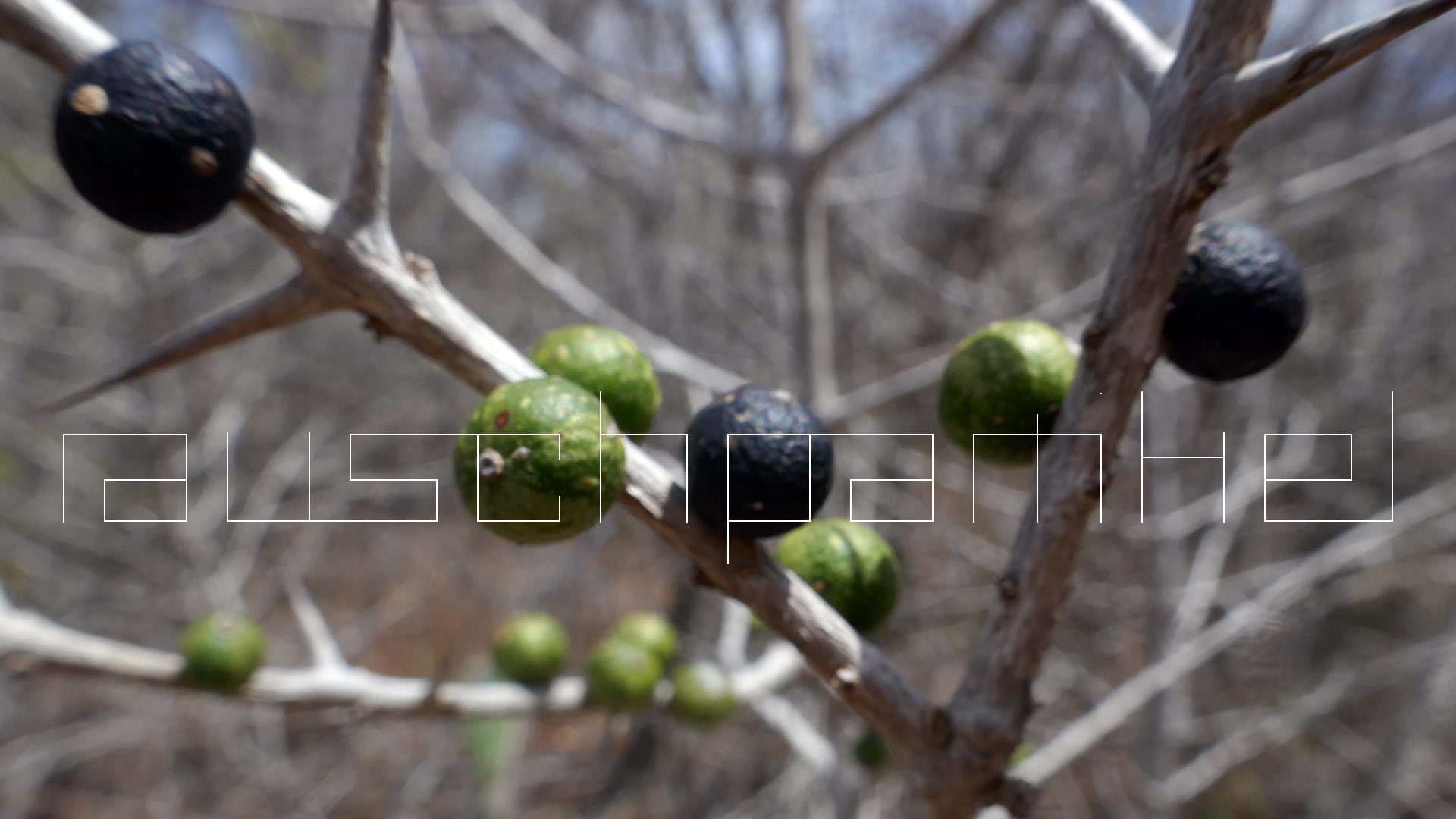 2022-04-22 Blaue Kammer (Foto)