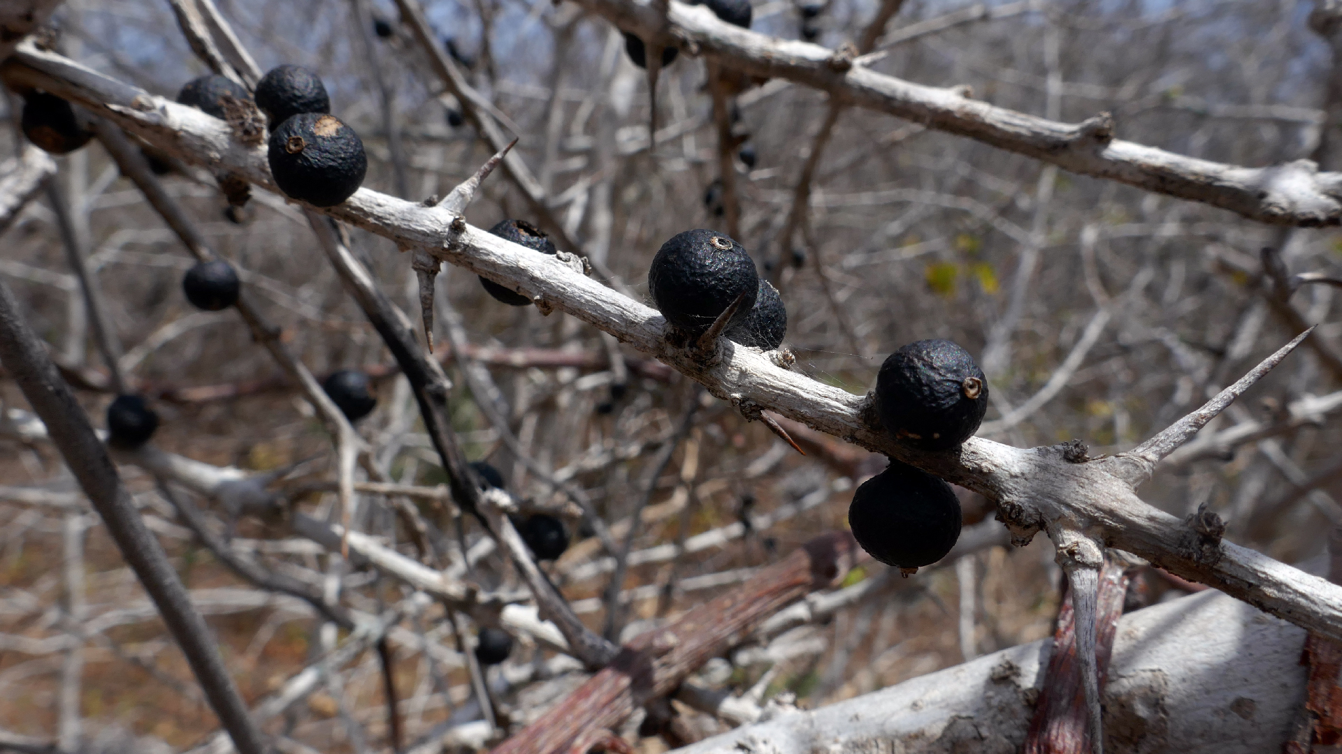 2022-04-22 Blaue Kammer (Foto)