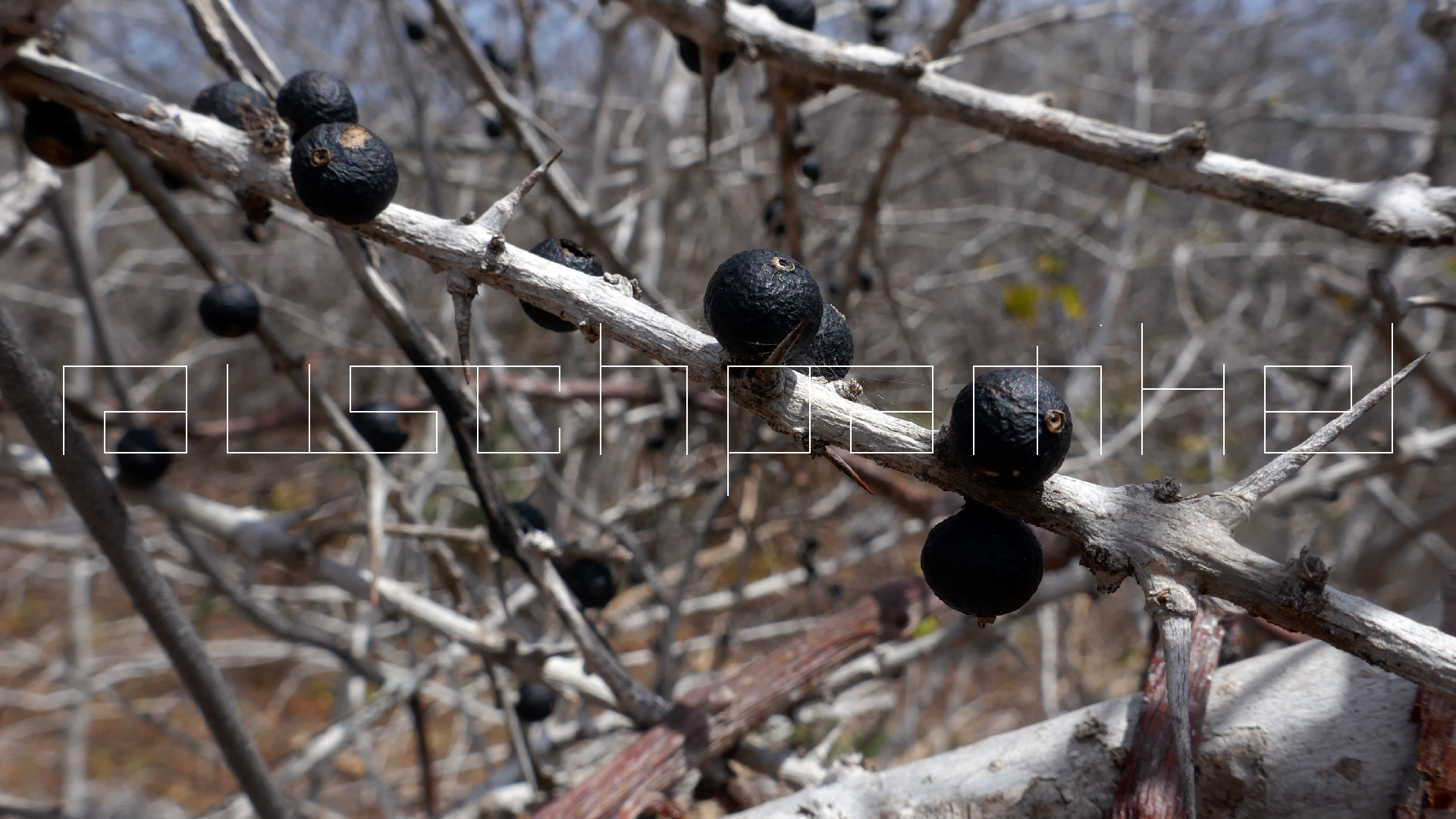 2022-04-22 Blaue Kammer (Foto)