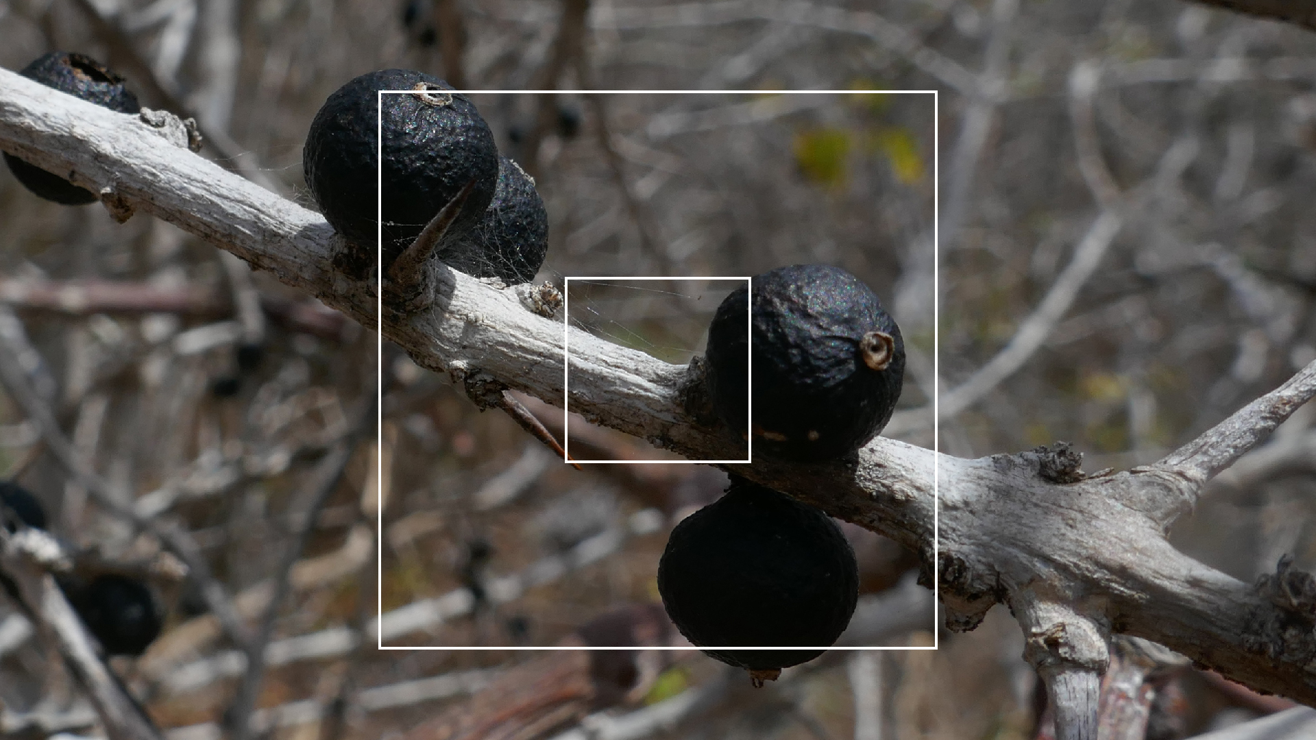 2022-04-22 Blaue Kammer (Foto)