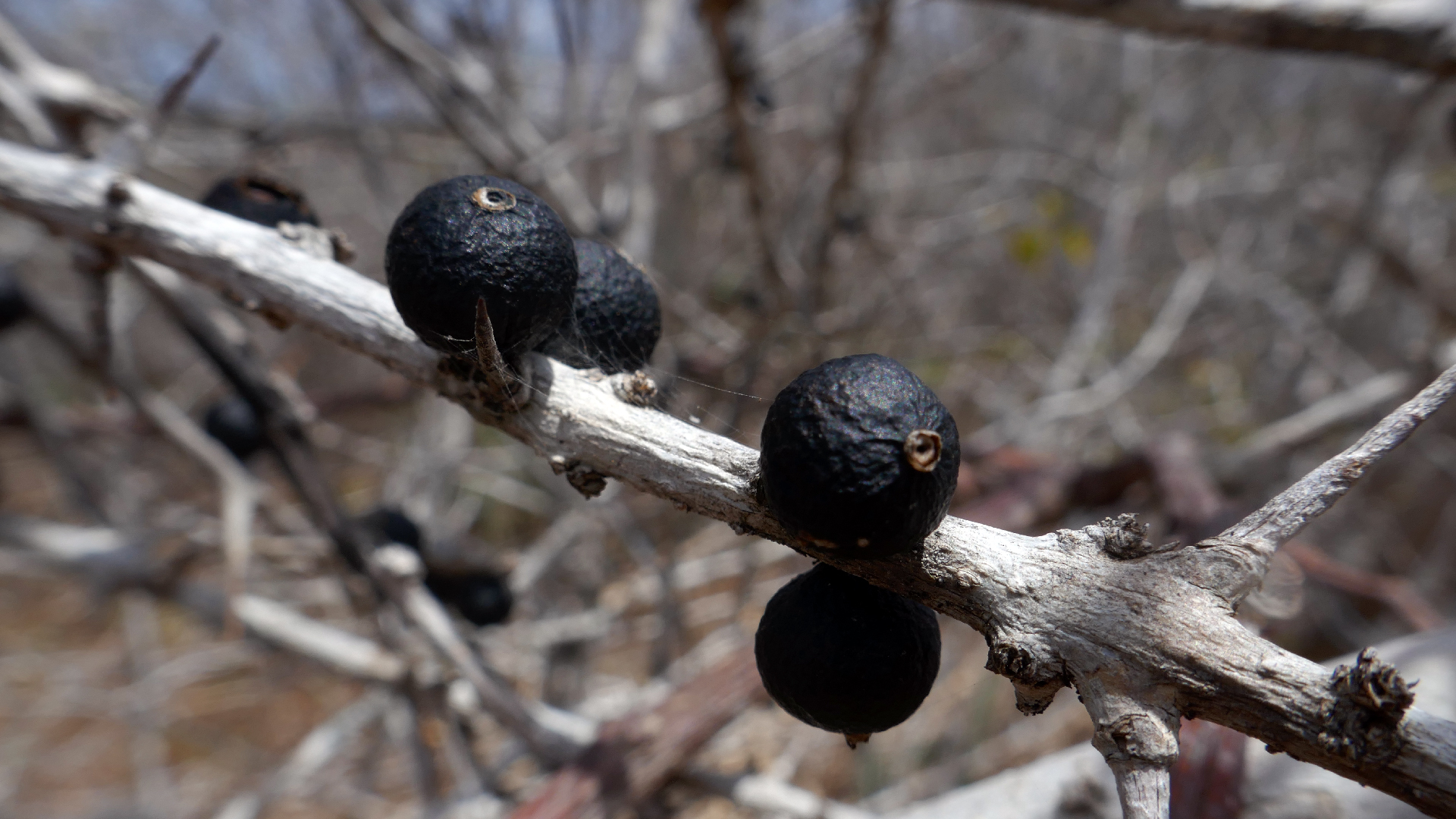 2022-04-22 Blaue Kammer (Foto)