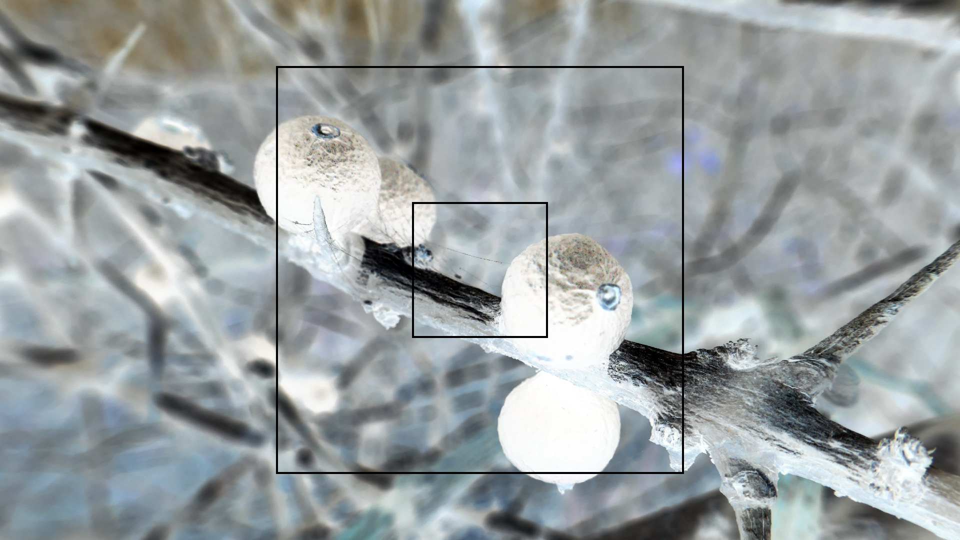 2022-04-22 Blaue Kammer (Foto)