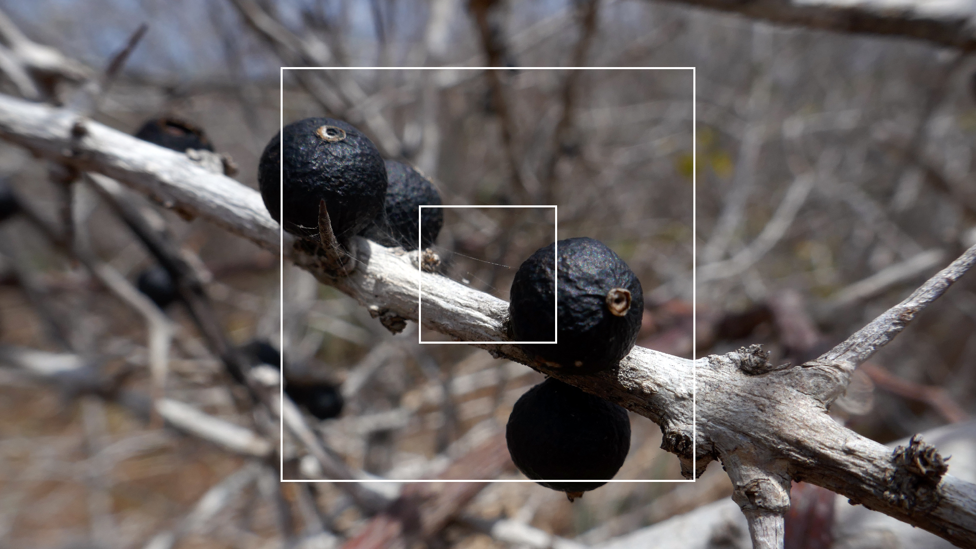 2022-04-22 Blaue Kammer (Foto)