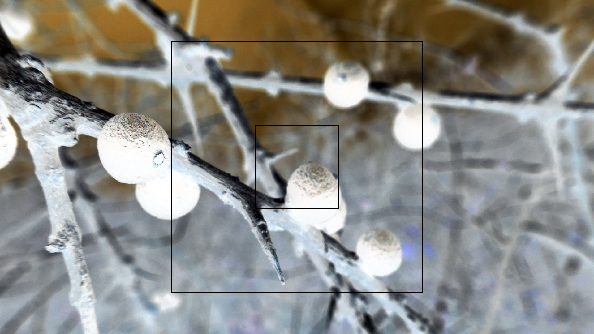 2022-04-22 Blaue Kammer (Foto)