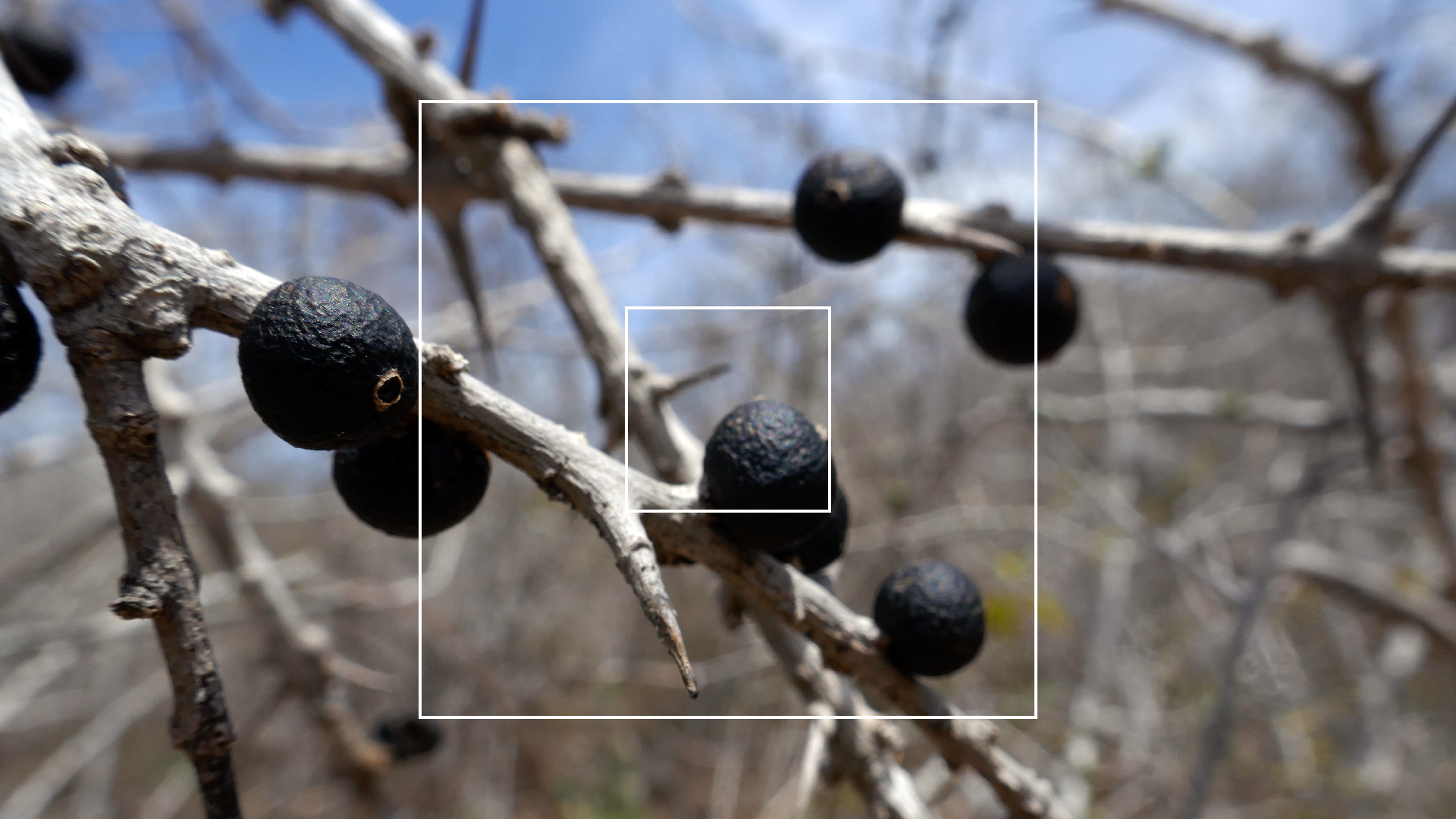 2022-04-22 Blaue Kammer (Foto)