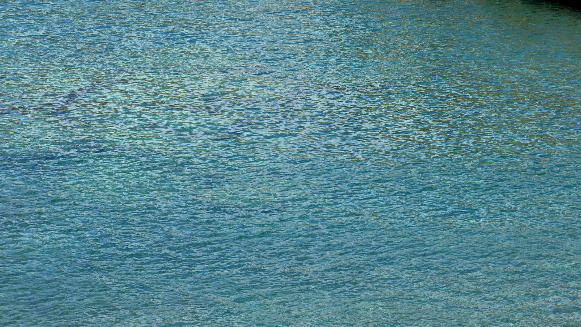 2022-04-22 Blaue Kammer (Foto)