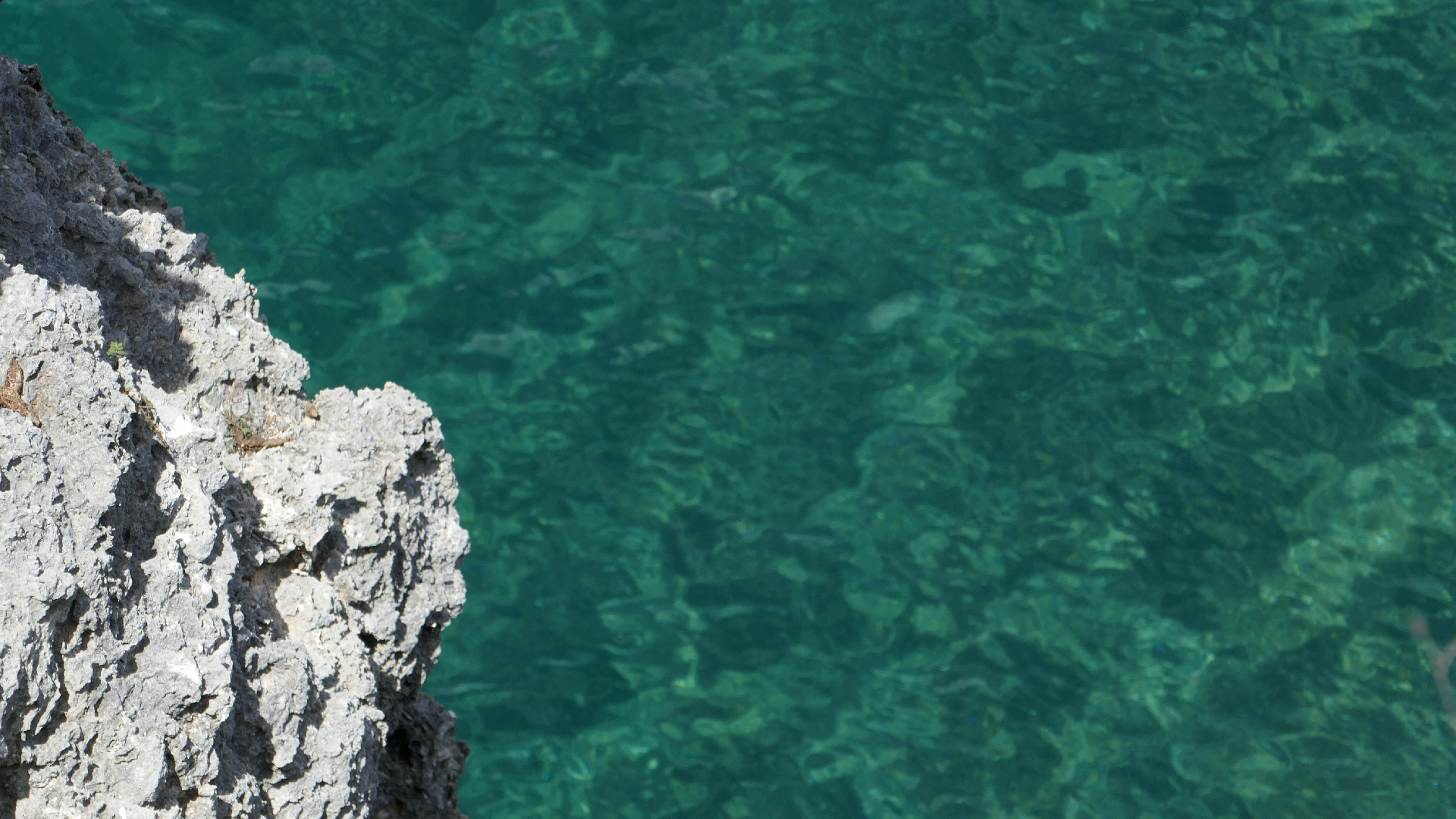 2022-04-22 Blaue Kammer (Foto)