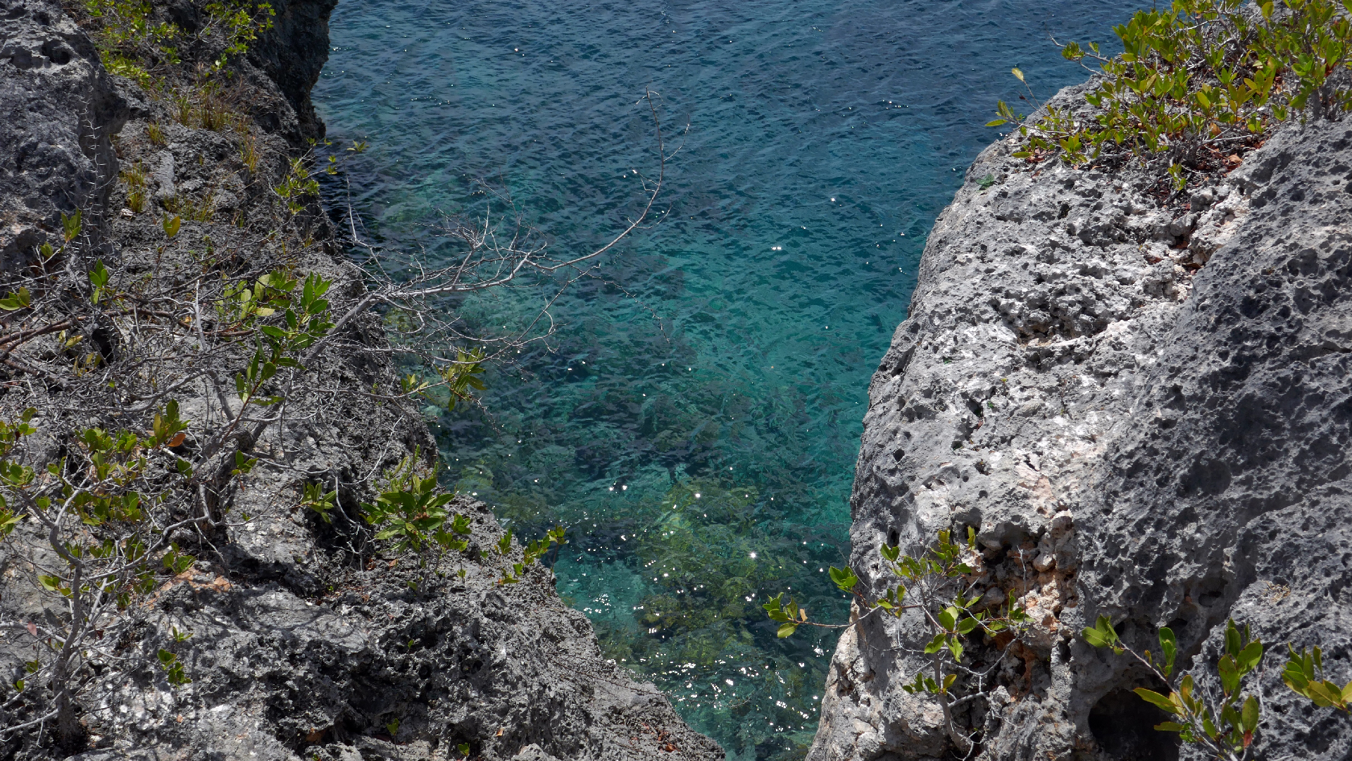 2022-04-22 Blaue Kammer (Foto)