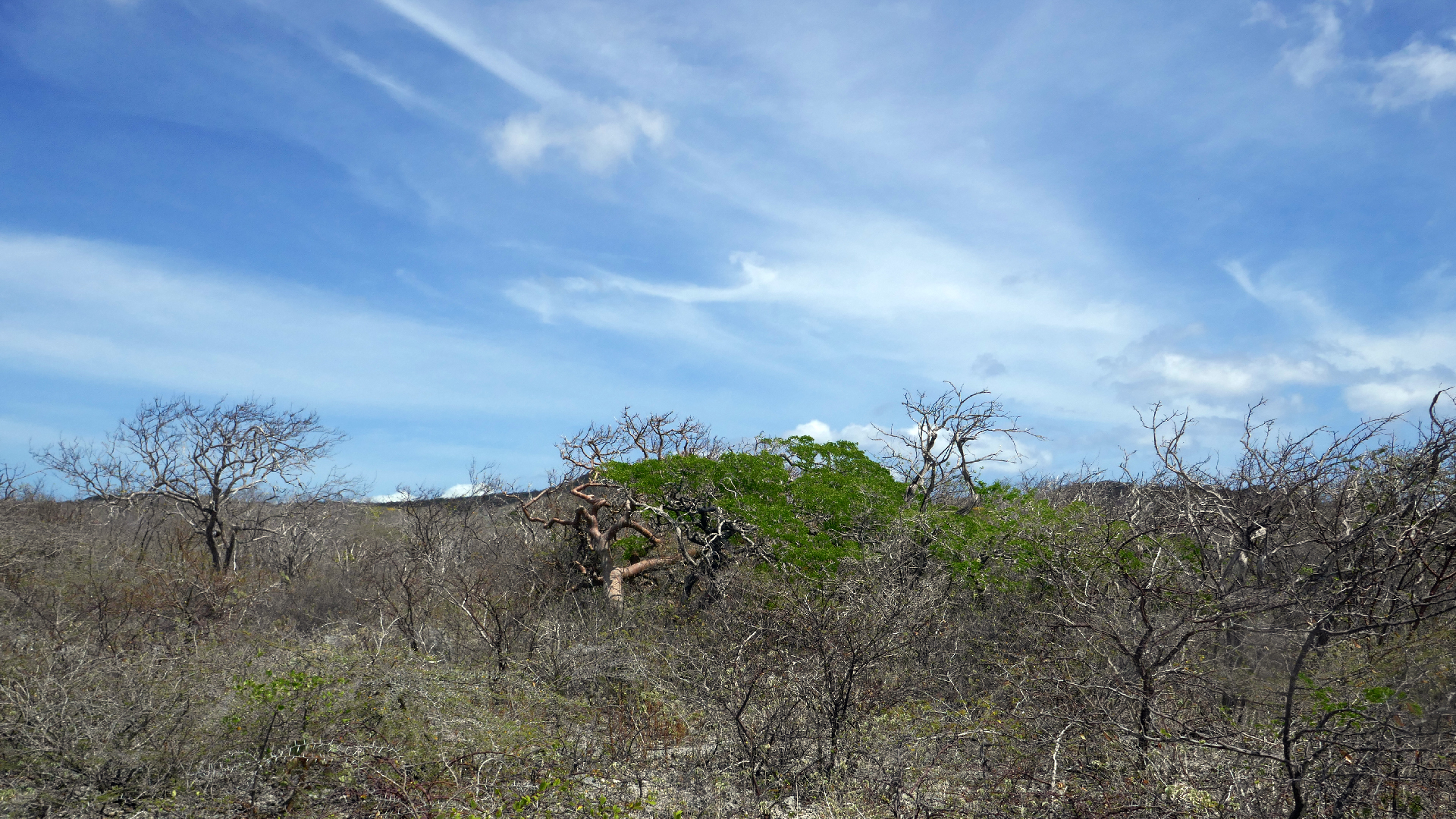 2022-04-22 Blaue Kammer (Foto)