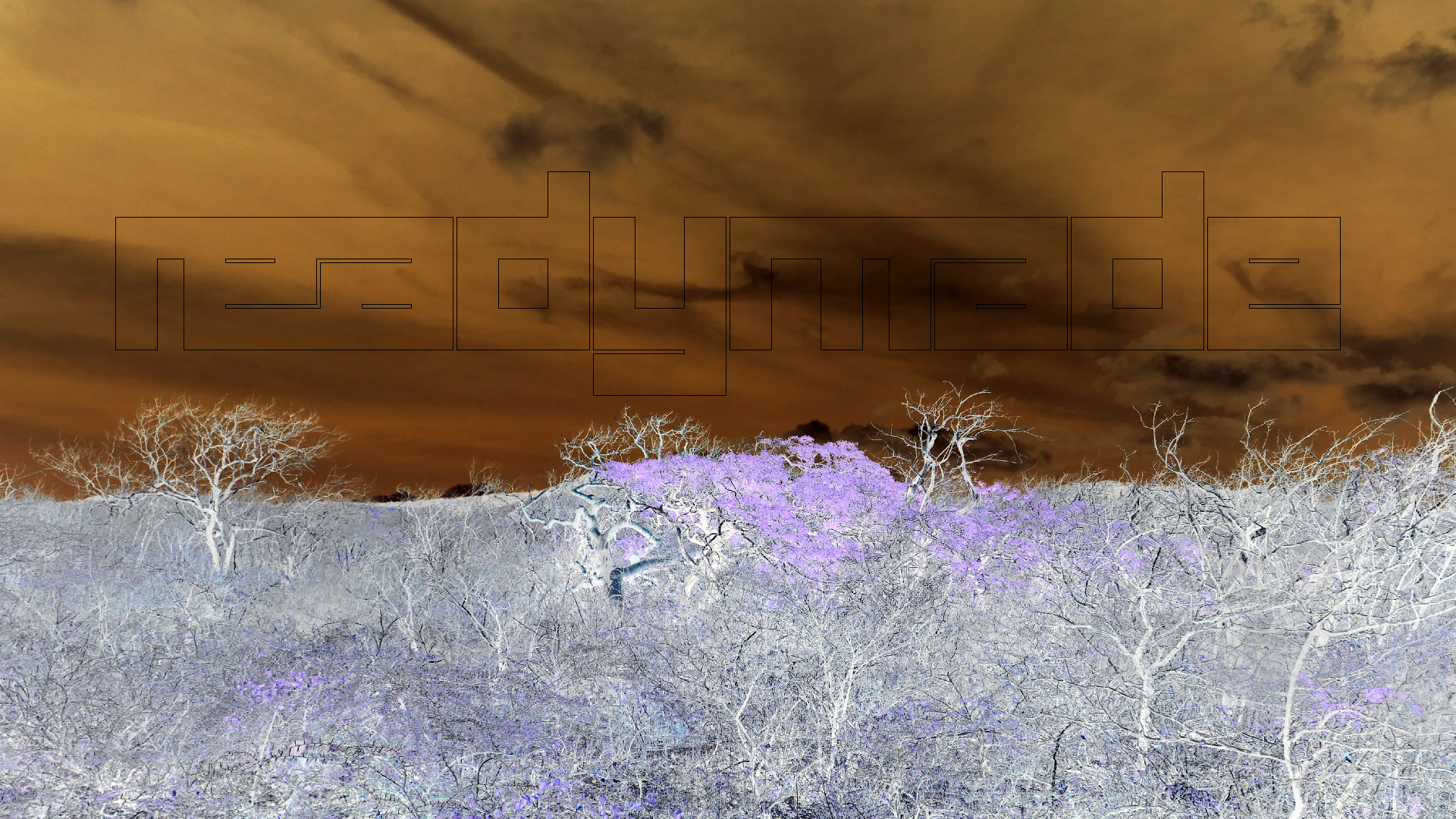 2022-04-22 Blaue Kammer (Foto)