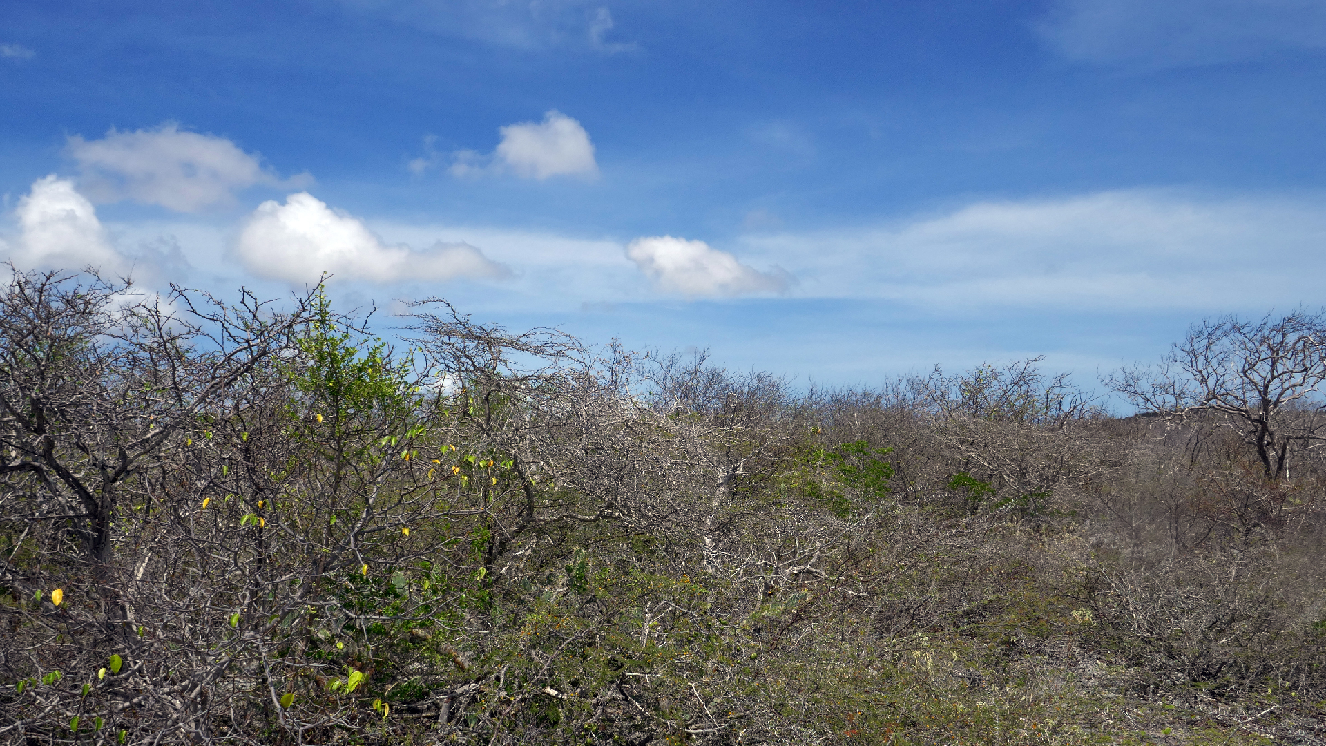 2022-04-22 Blaue Kammer (Foto)
