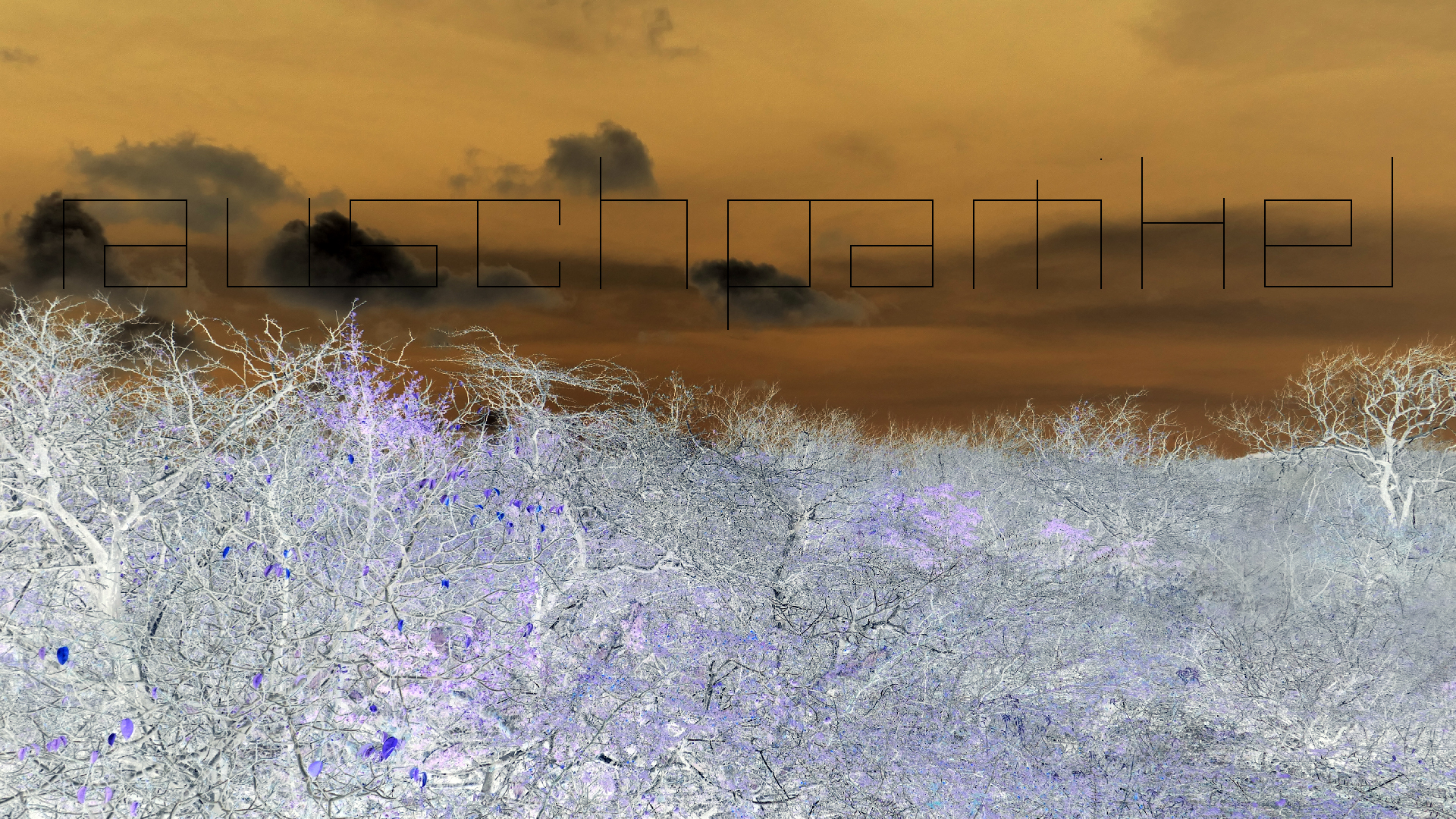 2022-04-22 Blaue Kammer (Foto)