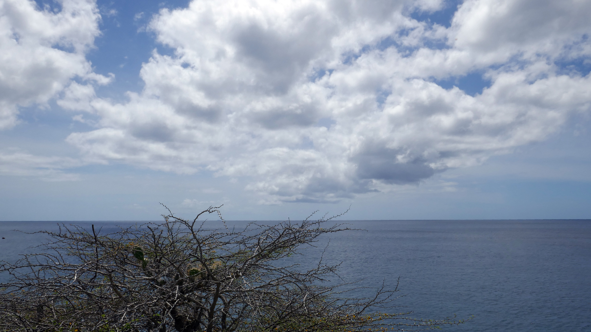 2022-04-22 Blaue Kammer (Foto)