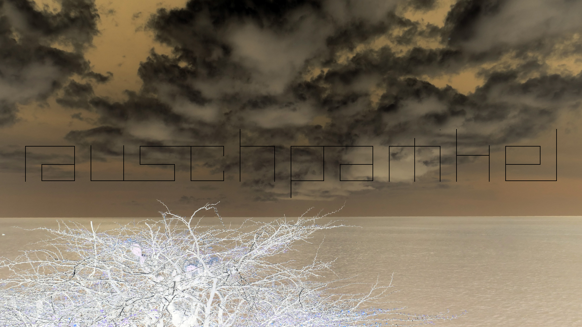 2022-04-22 Blaue Kammer (Foto)