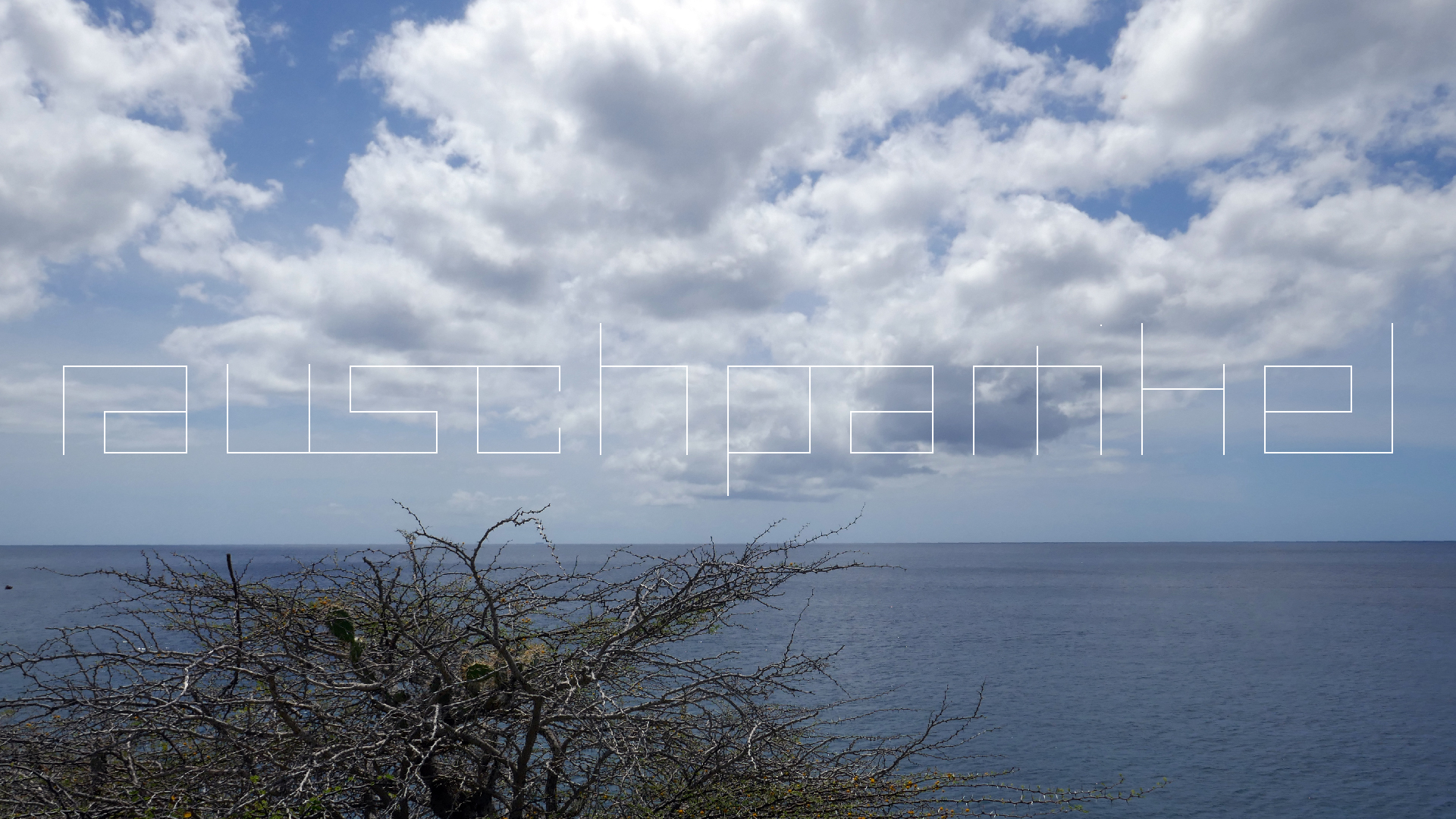 2022-04-22 Blaue Kammer (Foto)