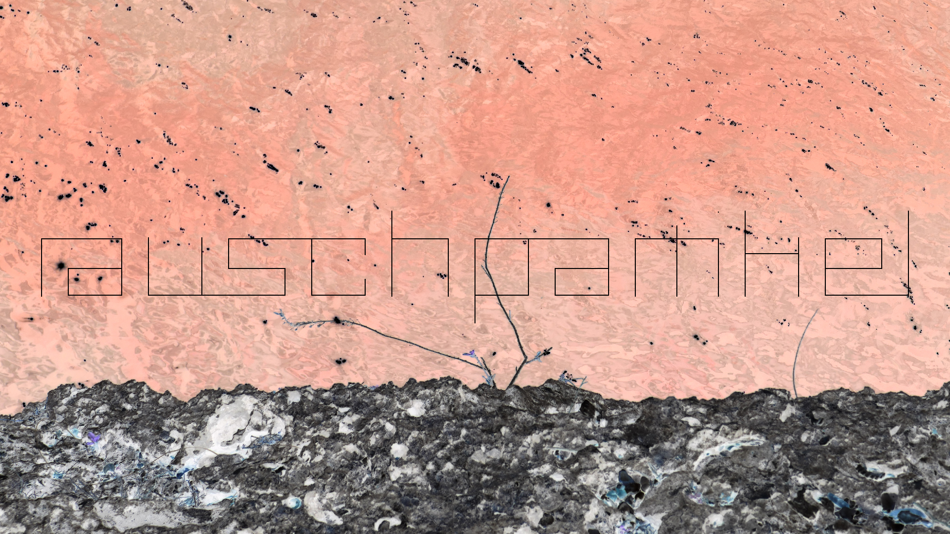 2022-04-22 Blaue Kammer (Foto)