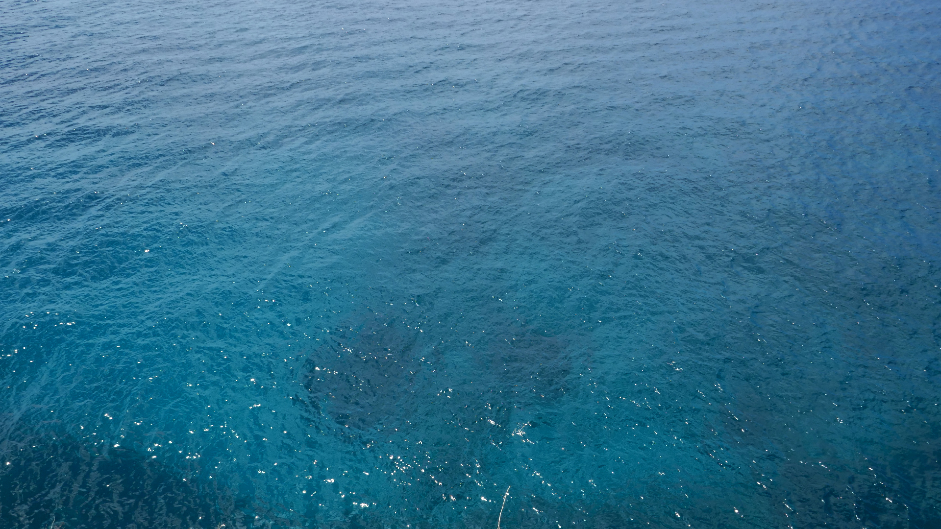 2022-04-22 Blaue Kammer (Foto)