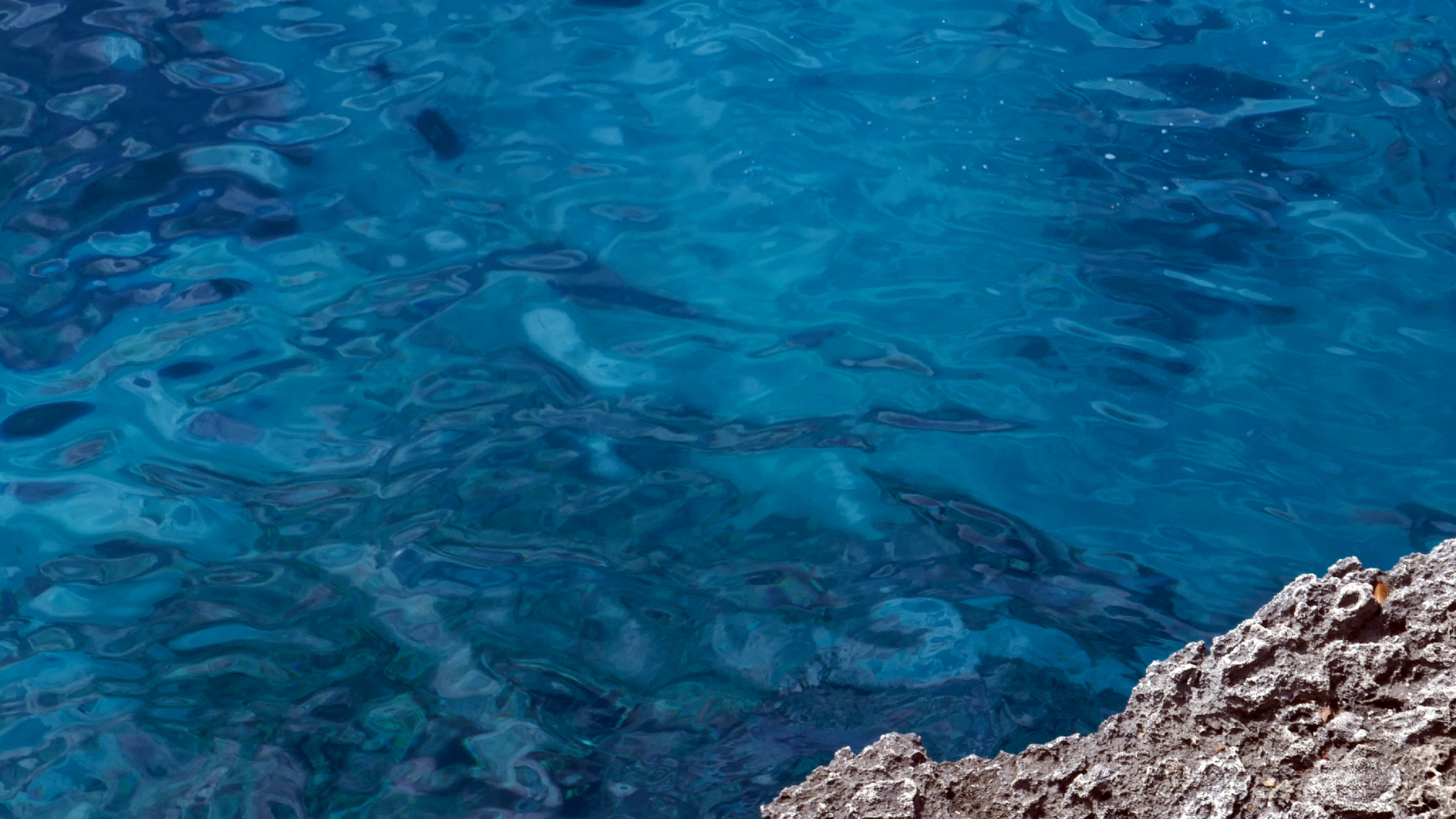 2022-04-22 Blaue Kammer (Foto)