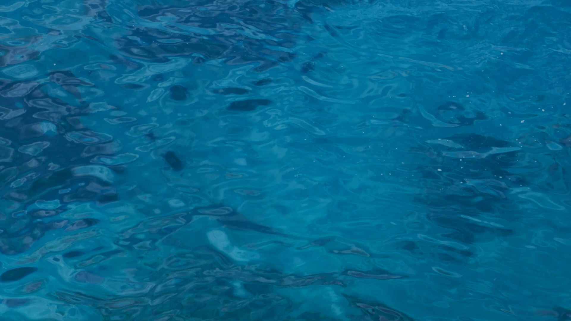 2022-04-22 Blaue Kammer (Foto)