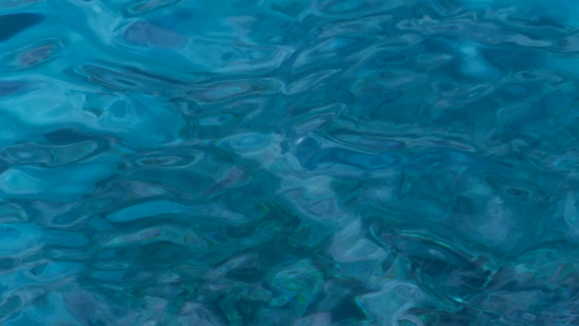 2022-04-22 Blaue Kammer (Foto)