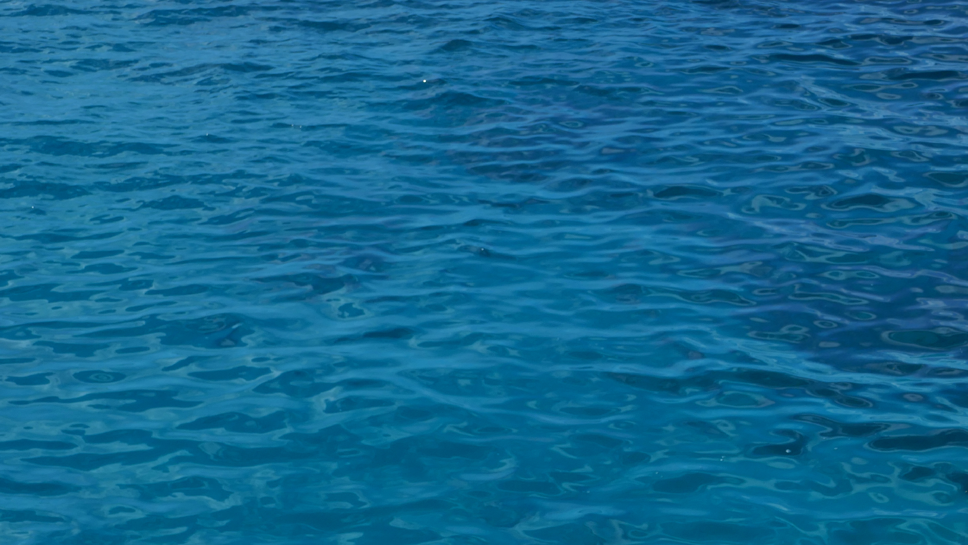 2022-04-22 Blaue Kammer (Foto)