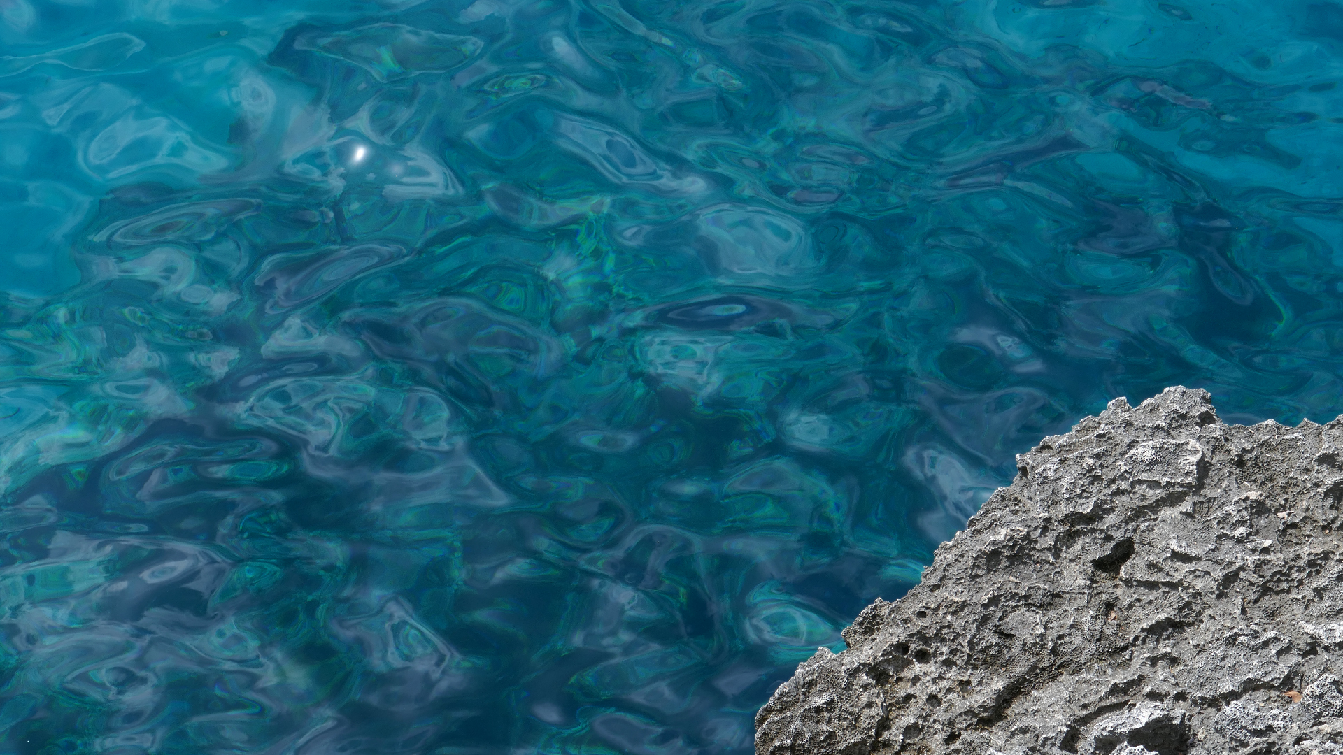 2022-04-22 Blaue Kammer (Foto)