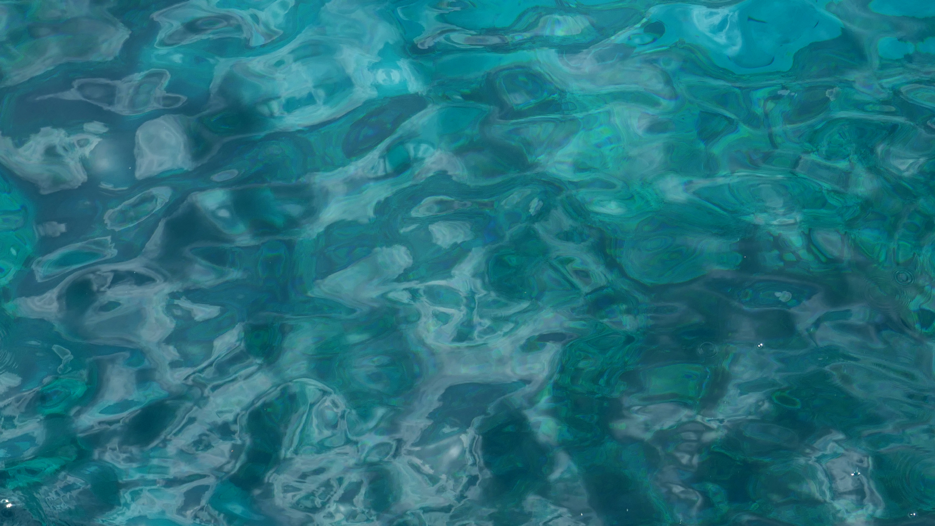 2022-04-22 Blaue Kammer (Foto)