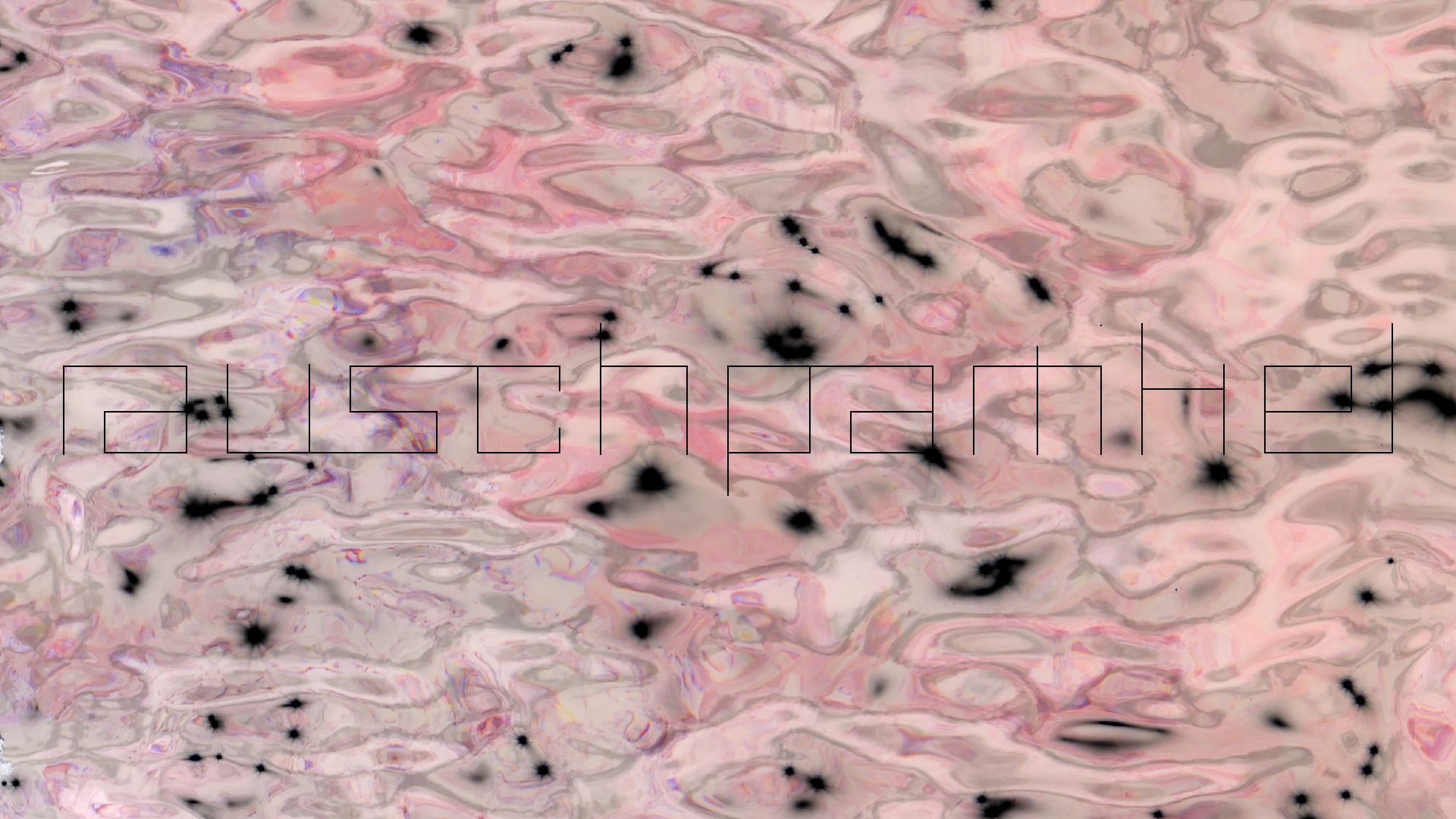 2022-04-22 Blaue Kammer (Foto)