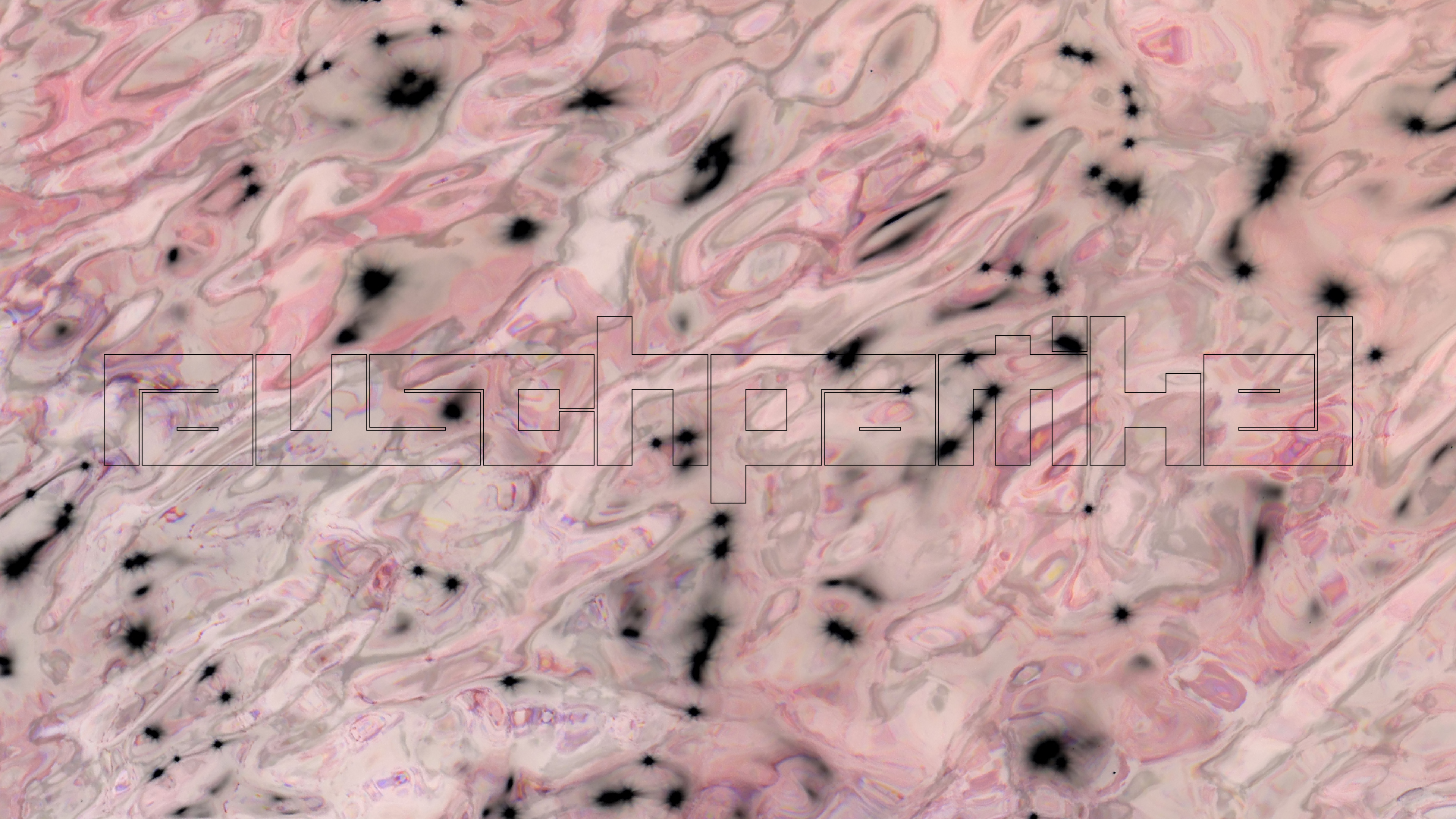 2022-04-22 Blaue Kammer (Foto)