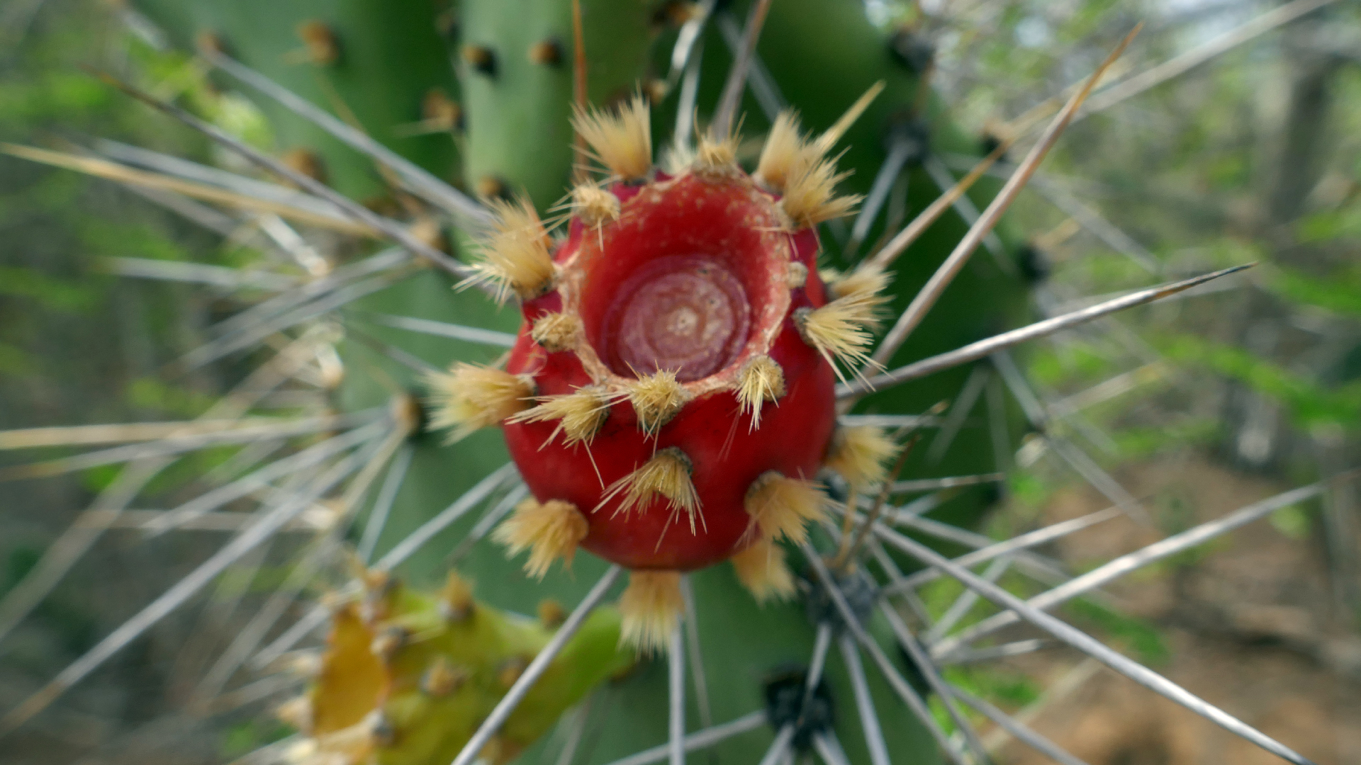 2022-04-22 Blaue Kammer (Foto)