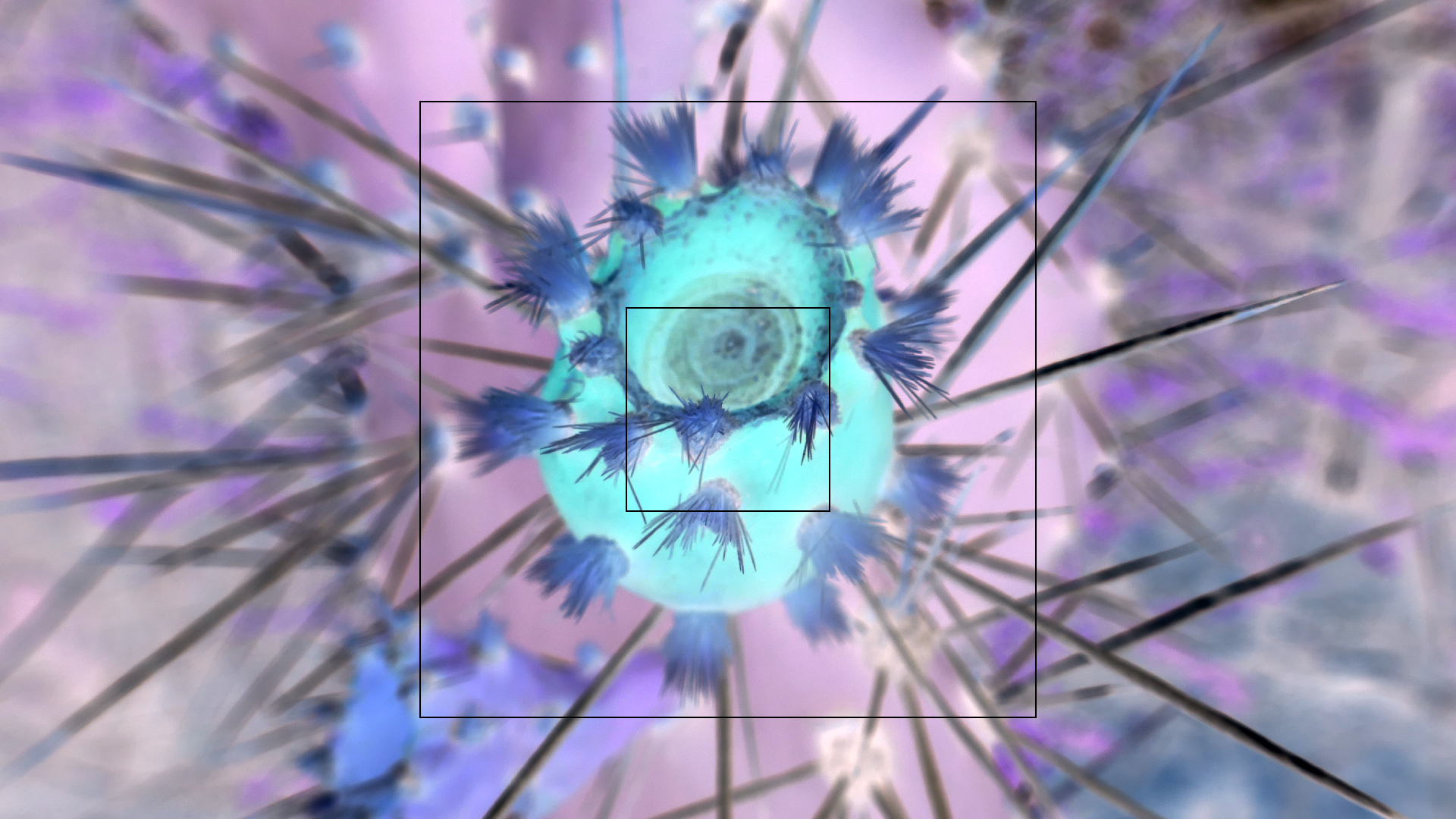 2022-04-22 Blaue Kammer (Foto)