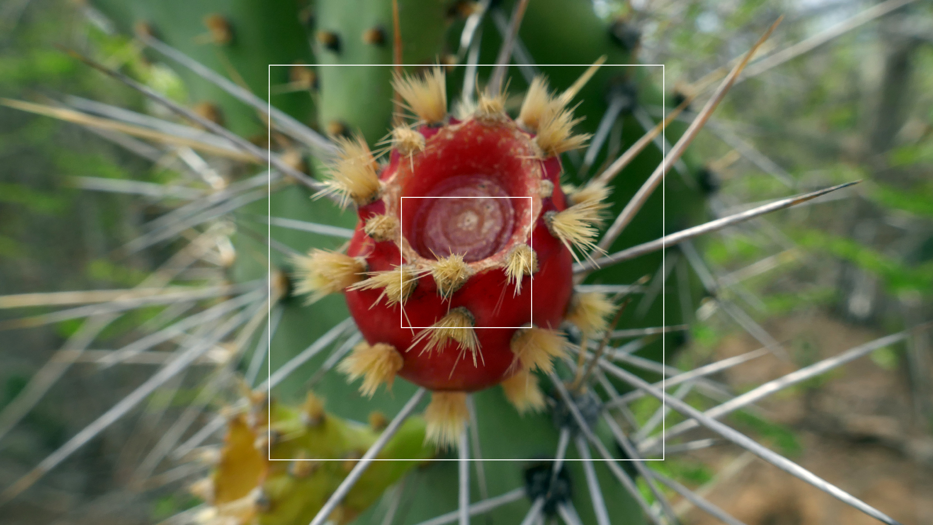 2022-04-22 Blaue Kammer (Foto)