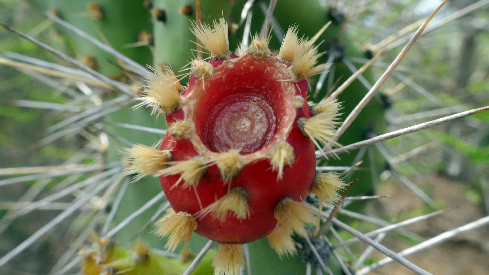 2022-04-22 Blaue Kammer (Foto)