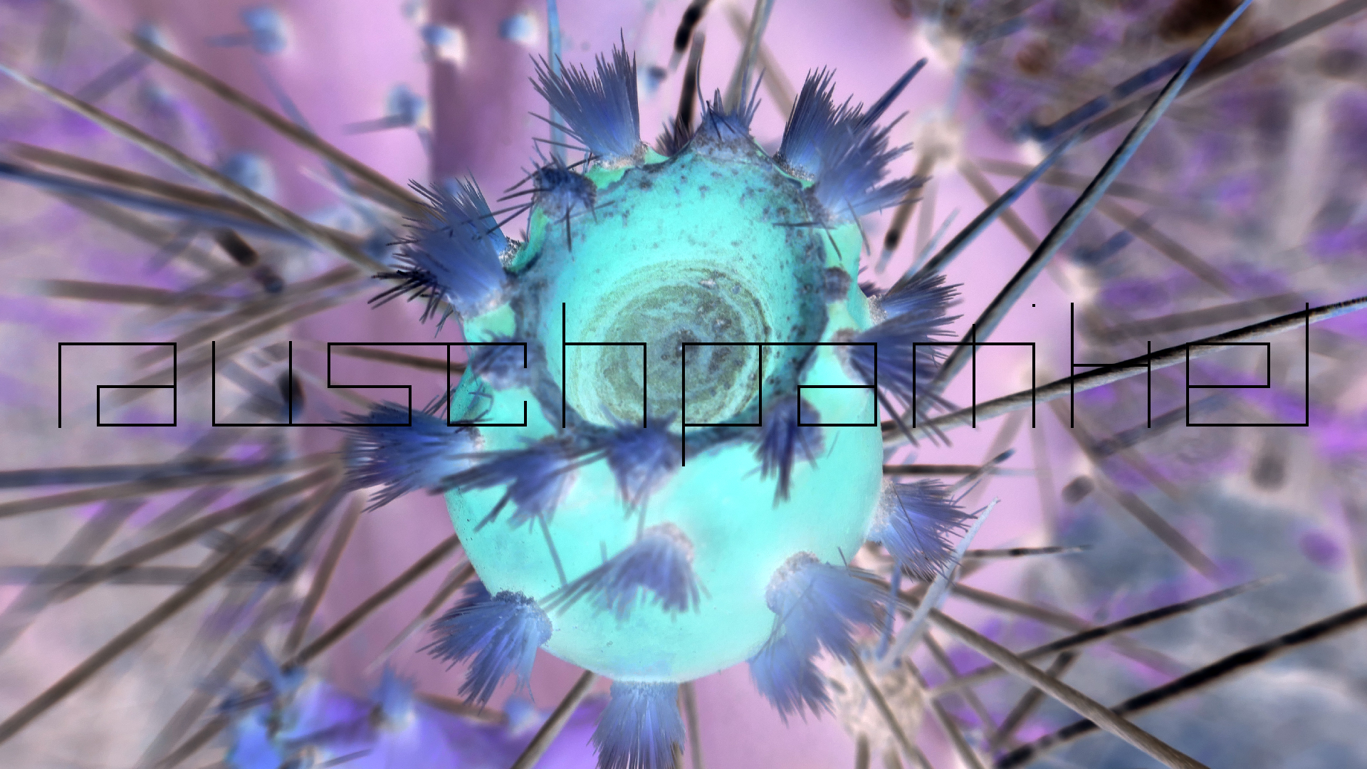 2022-04-22 Blaue Kammer (Foto)