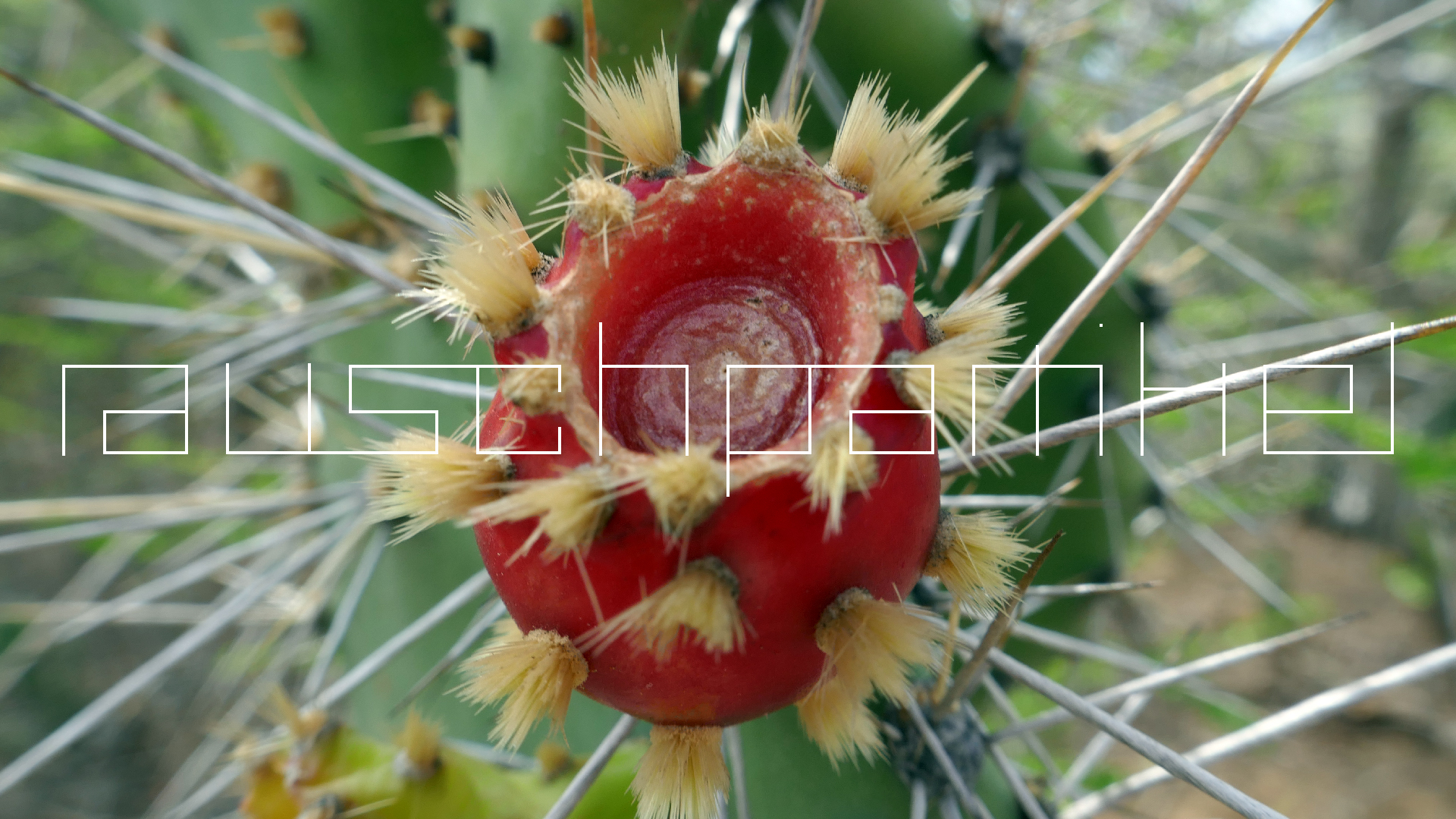 2022-04-22 Blaue Kammer (Foto)