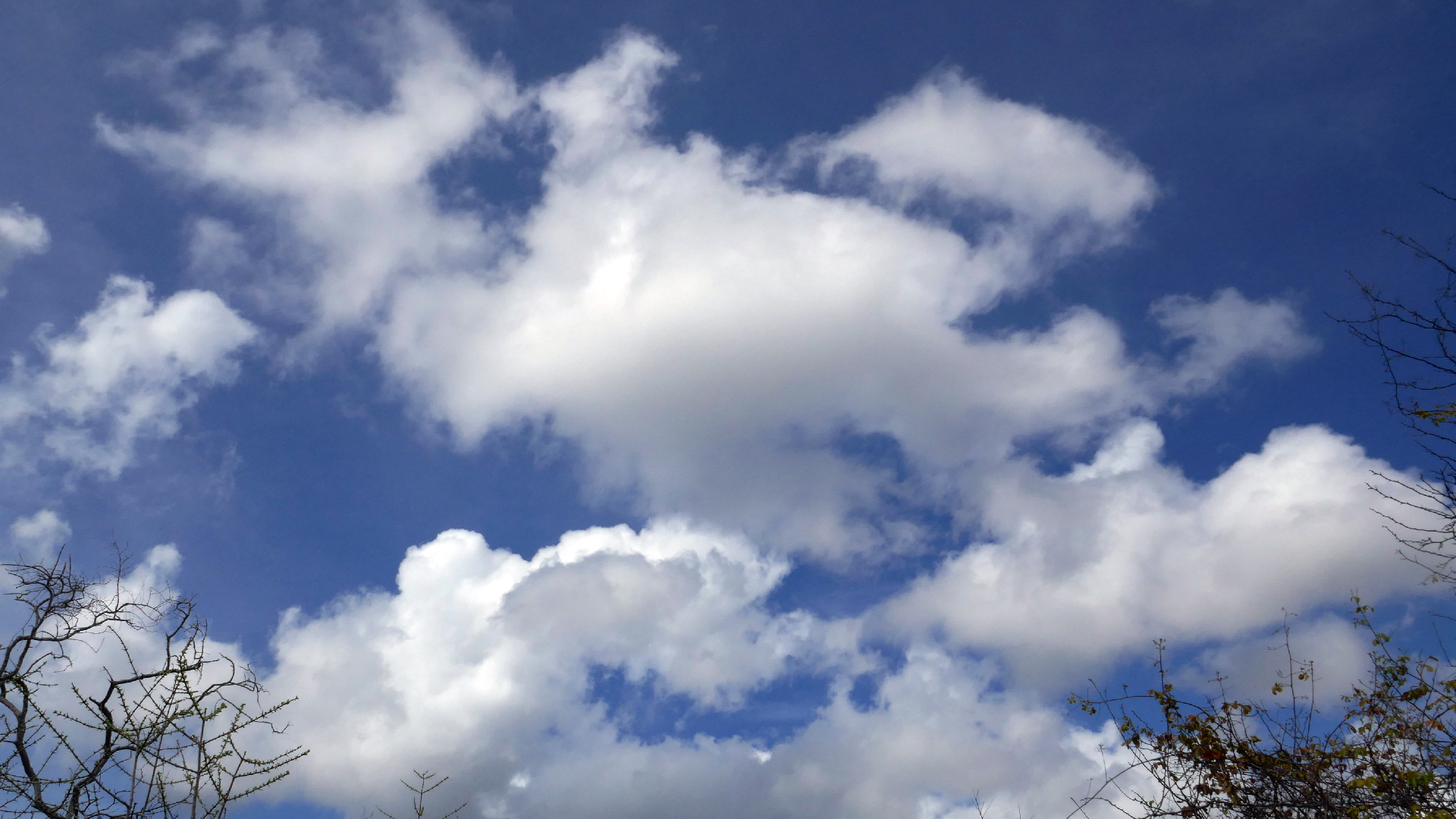 2022-04-22 Blaue Kammer (Foto)