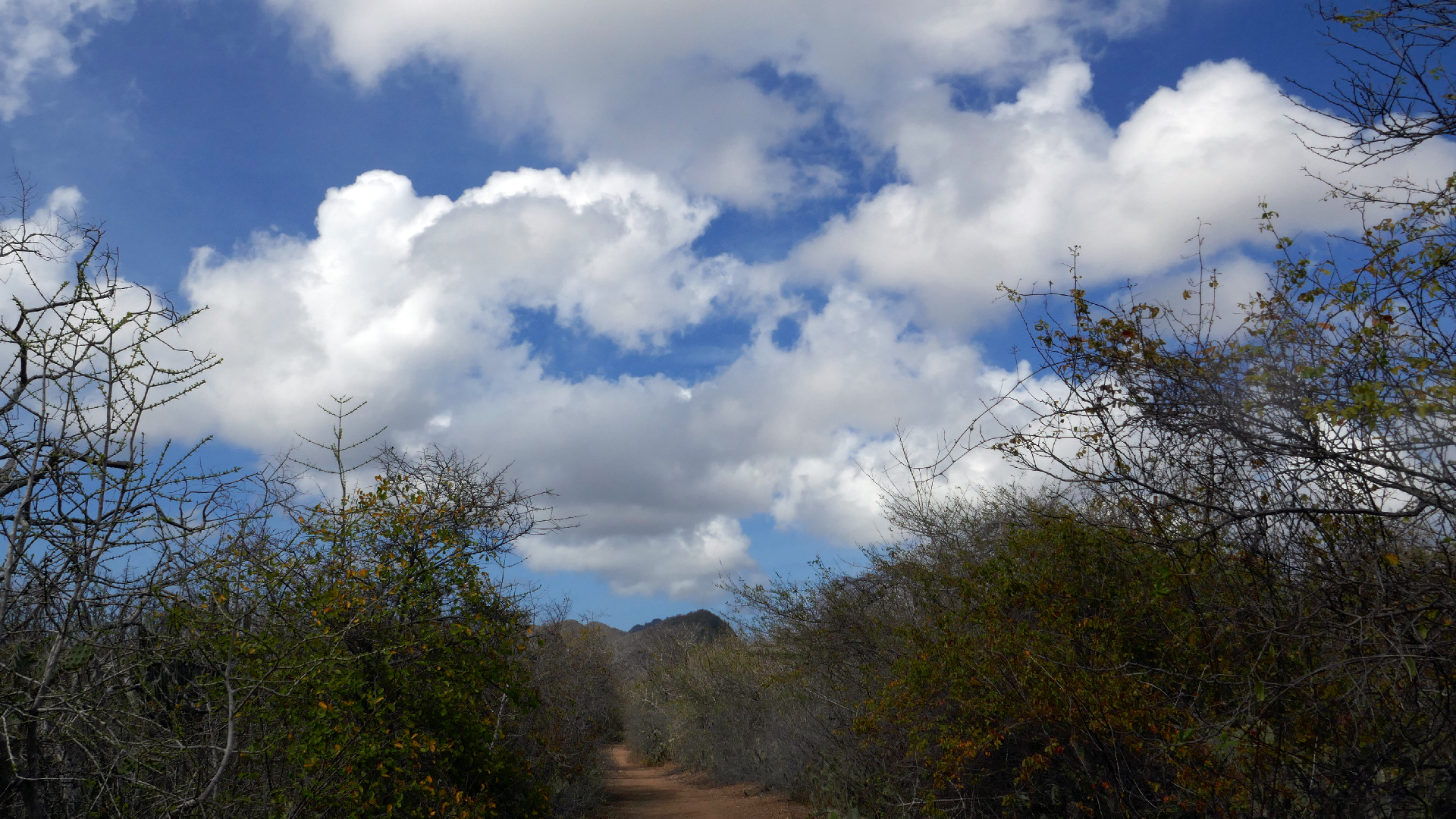 2022-04-22 Blaue Kammer (Foto)