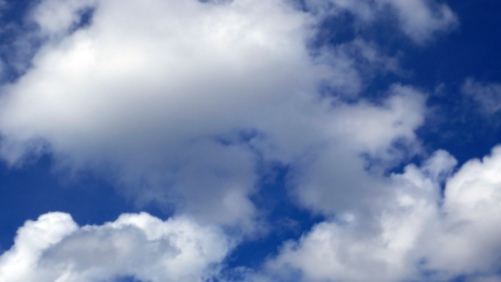 2022-04-22 Blaue Kammer (Foto)