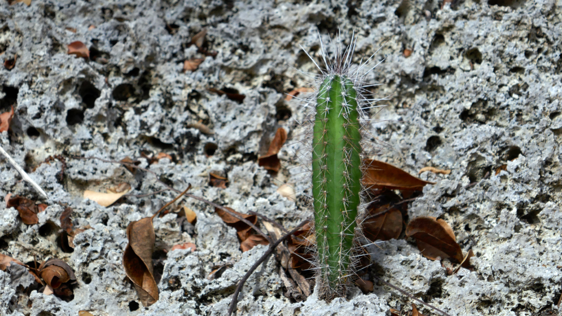 2022-04-22 Blaue Kammer (Foto)