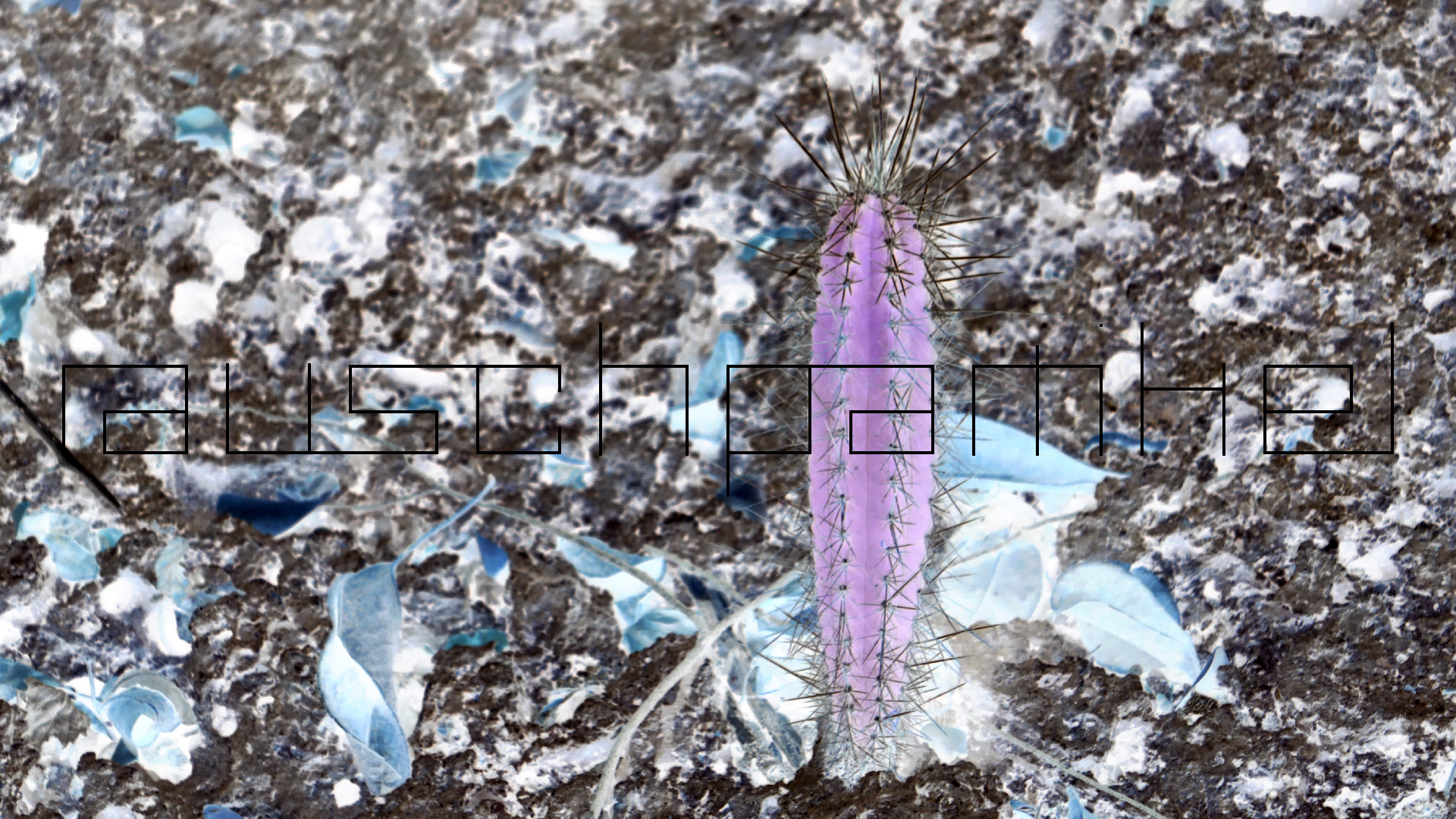 2022-04-22 Blaue Kammer (Foto)