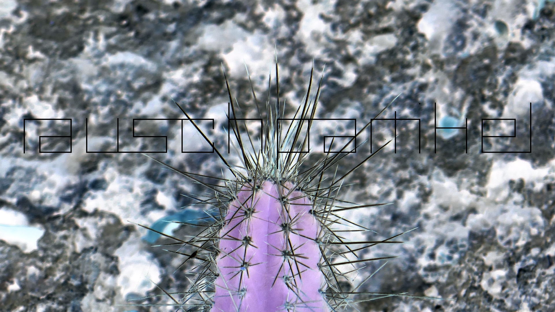 2022-04-22 Blaue Kammer (Foto)