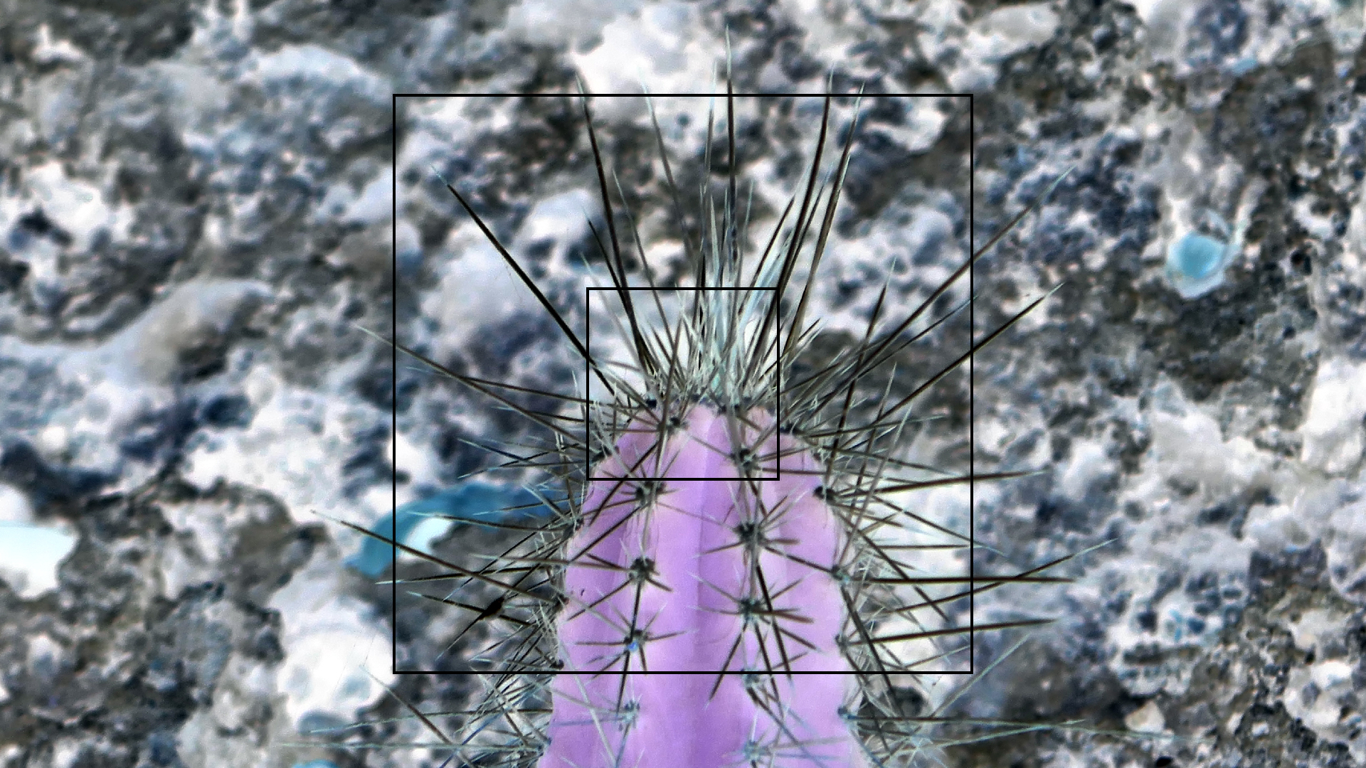 2022-04-22 Blaue Kammer (Foto)