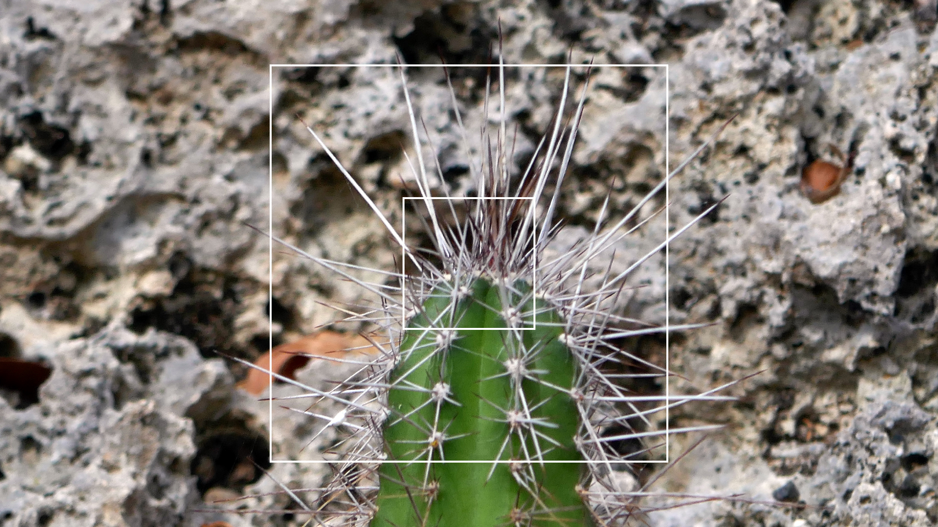 2022-04-22 Blaue Kammer (Foto)