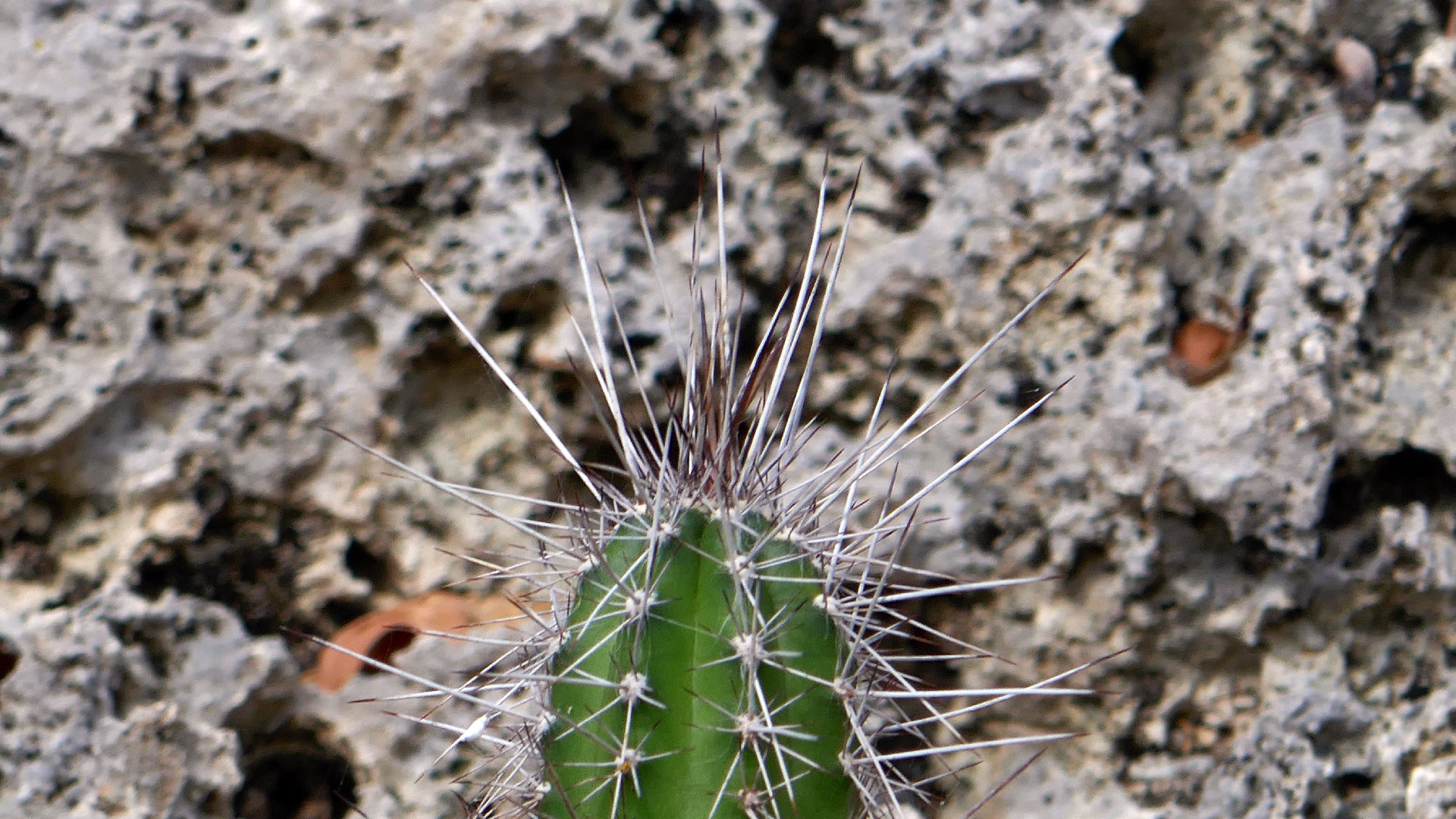 2022-04-22 Blaue Kammer (Foto)