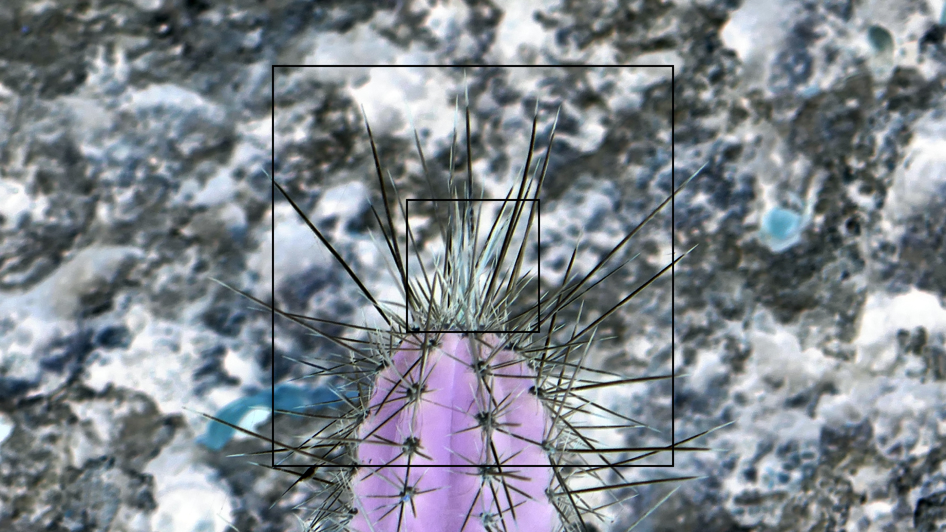 2022-04-22 Blaue Kammer (Foto)