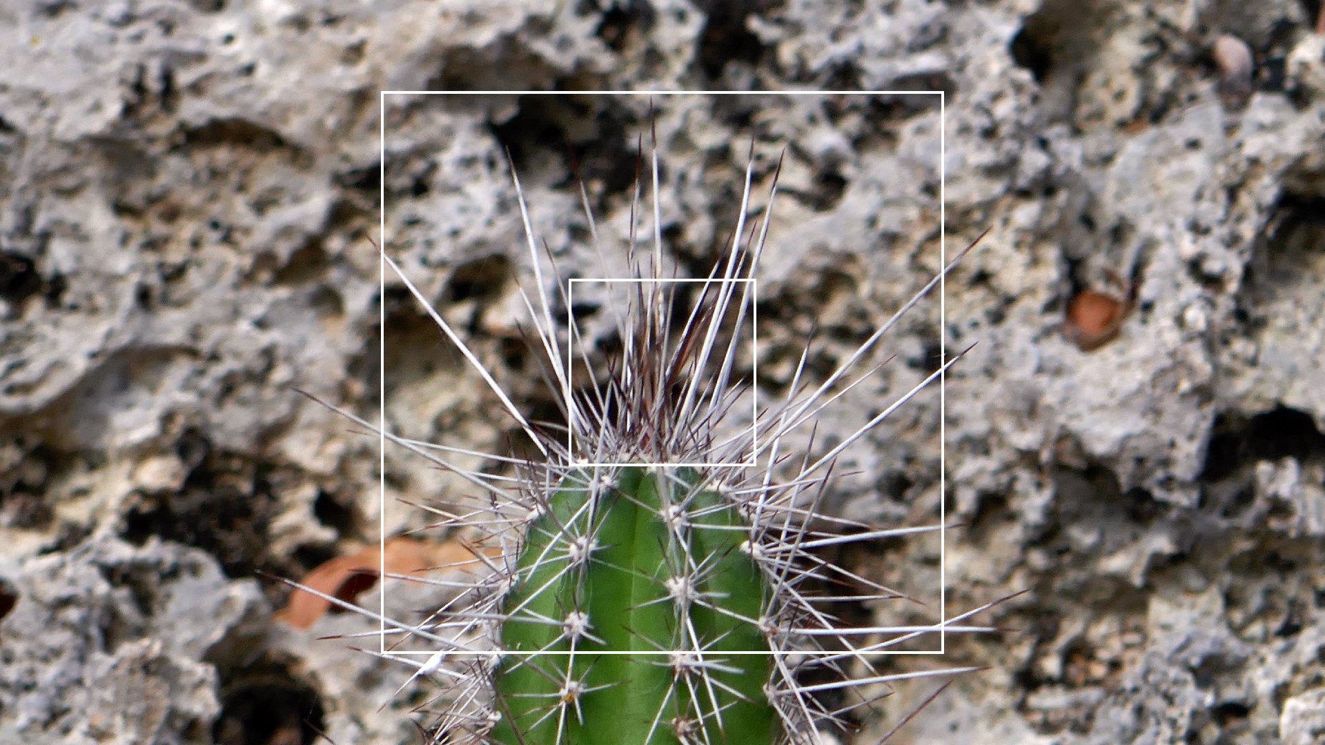 2022-04-22 Blaue Kammer (Foto)