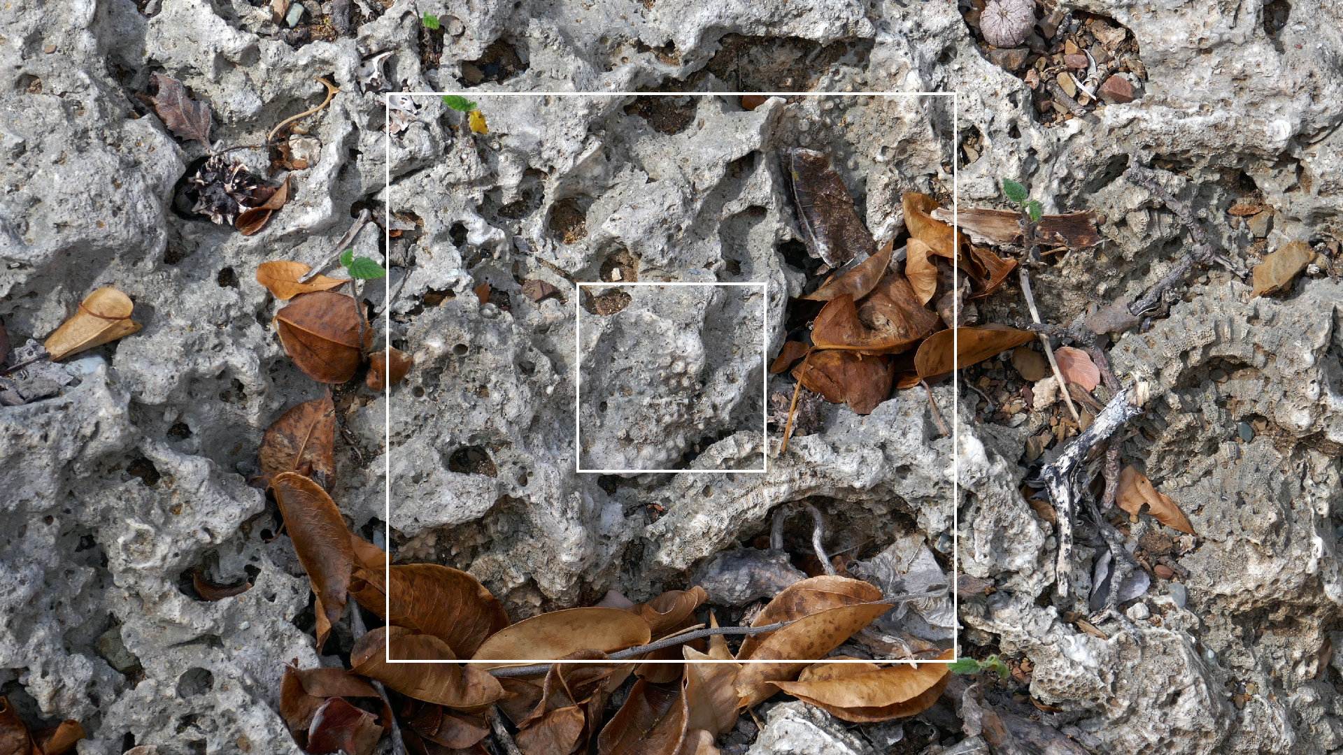 2022-04-22 Blaue Kammer (Foto)